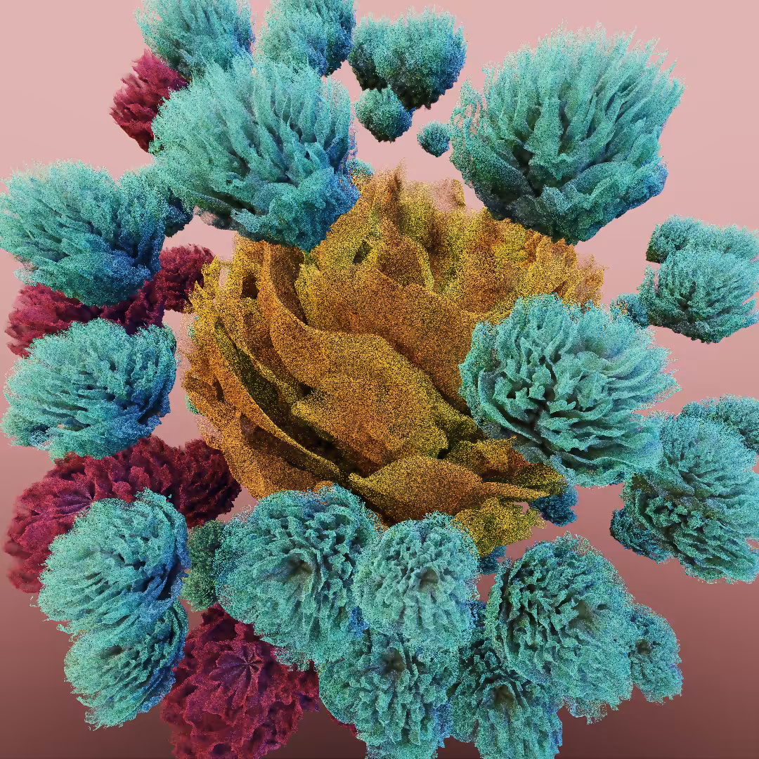 rosarium #187