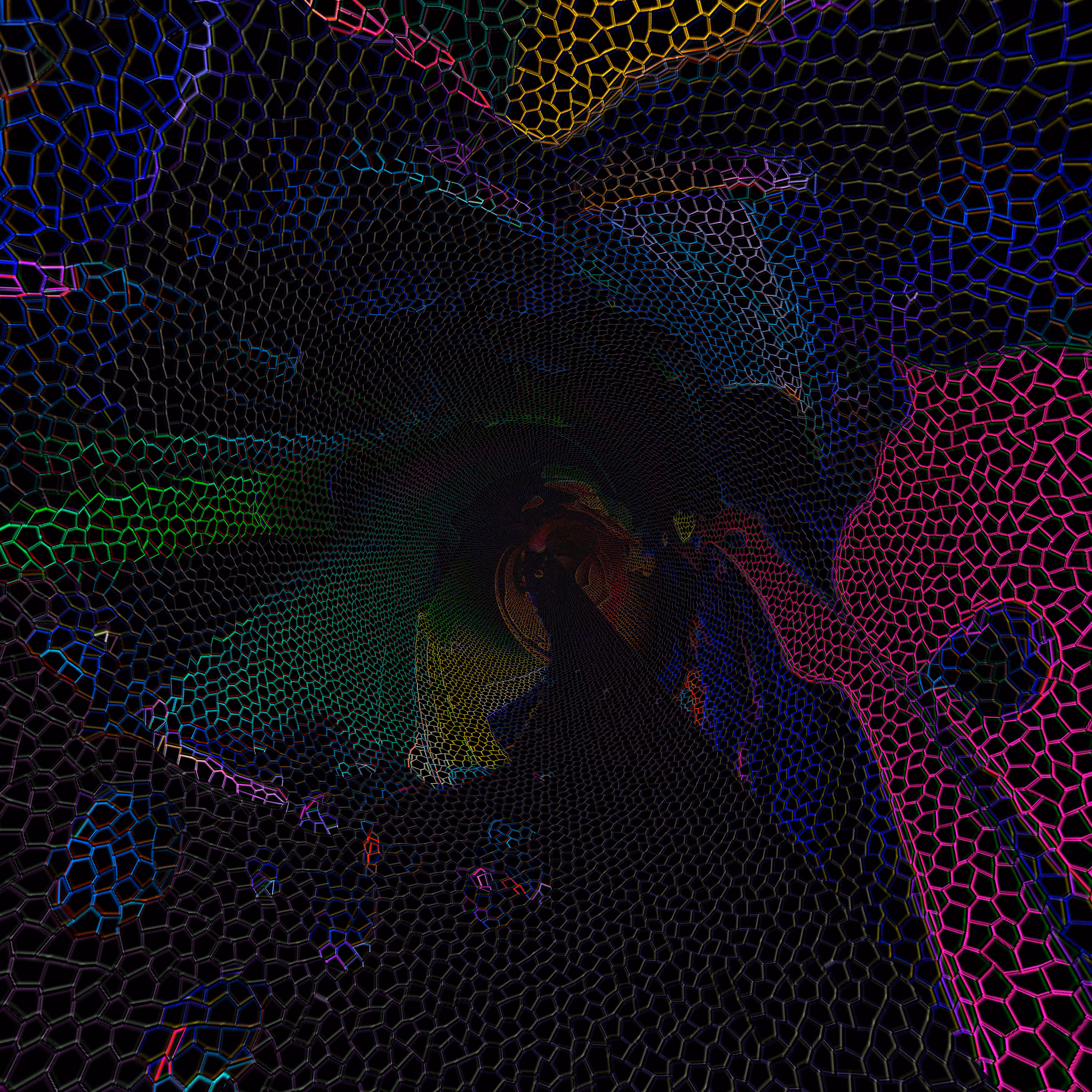 Wireframe // 4