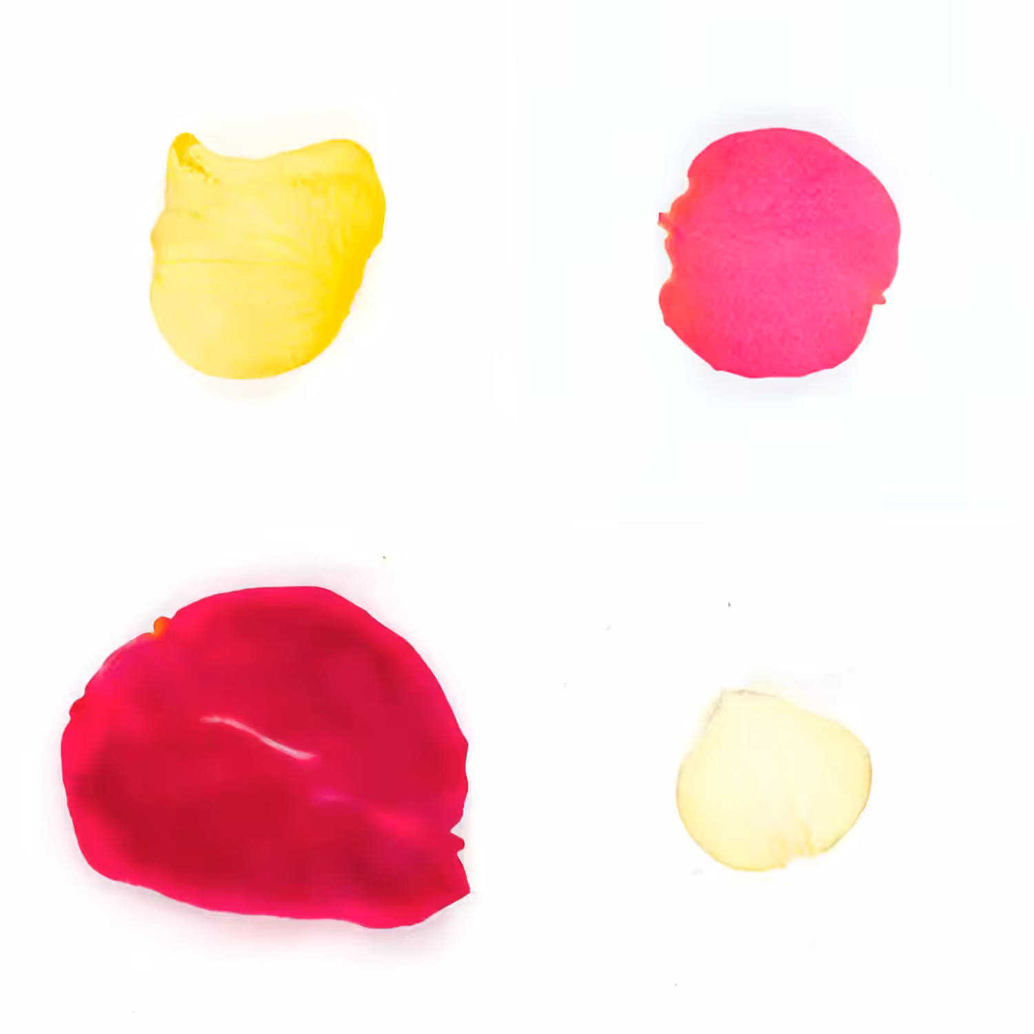 Infinite Petals 2x2#20351