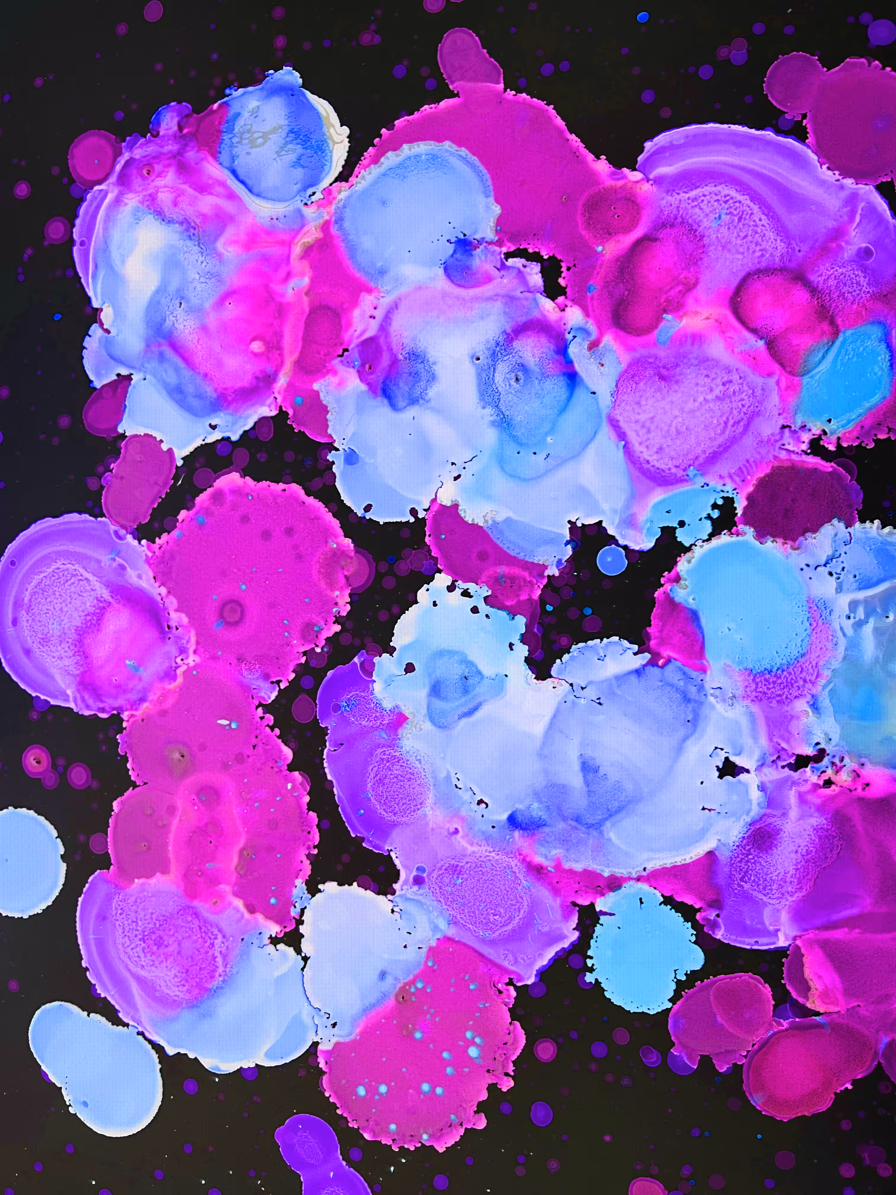Pink Jelly Fish