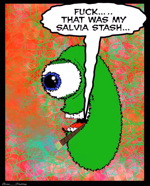 Salvia Blunt