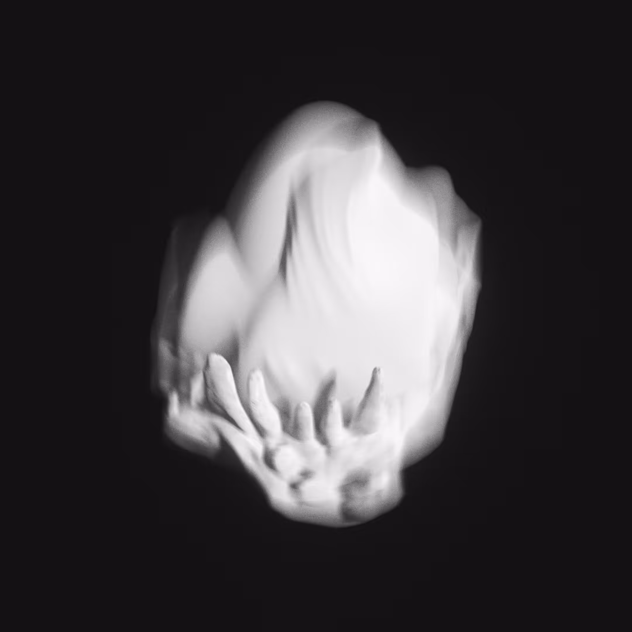 Pug Jaw With Egg