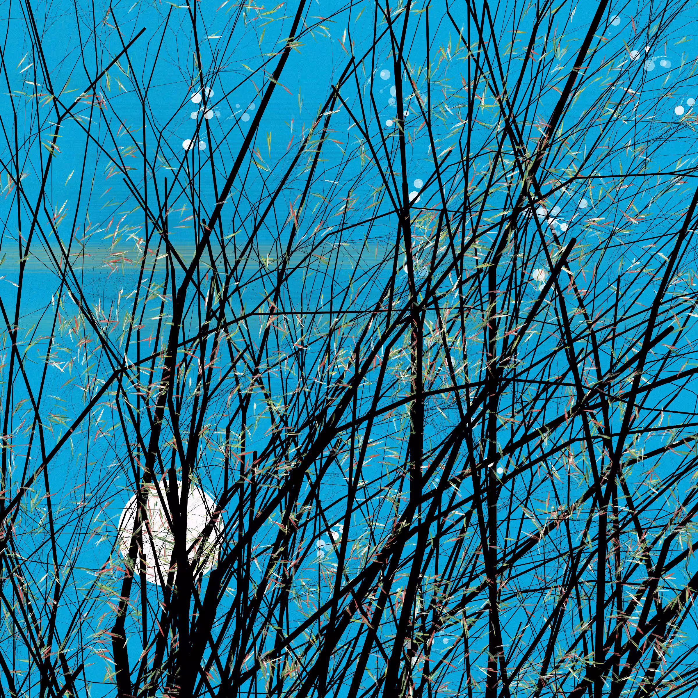 conversation with the wind #494