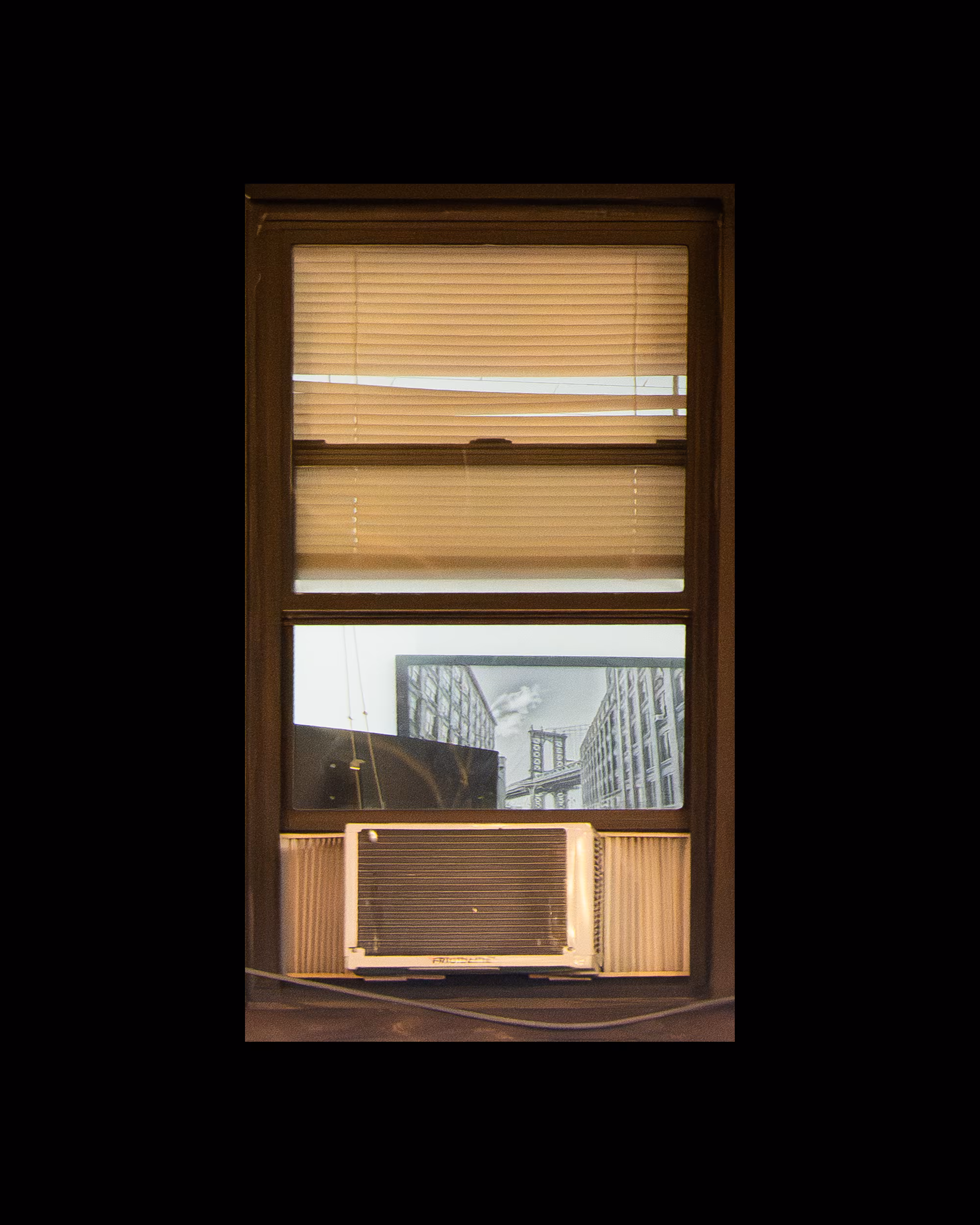 WINDOWS // NYC: WINDOW 549