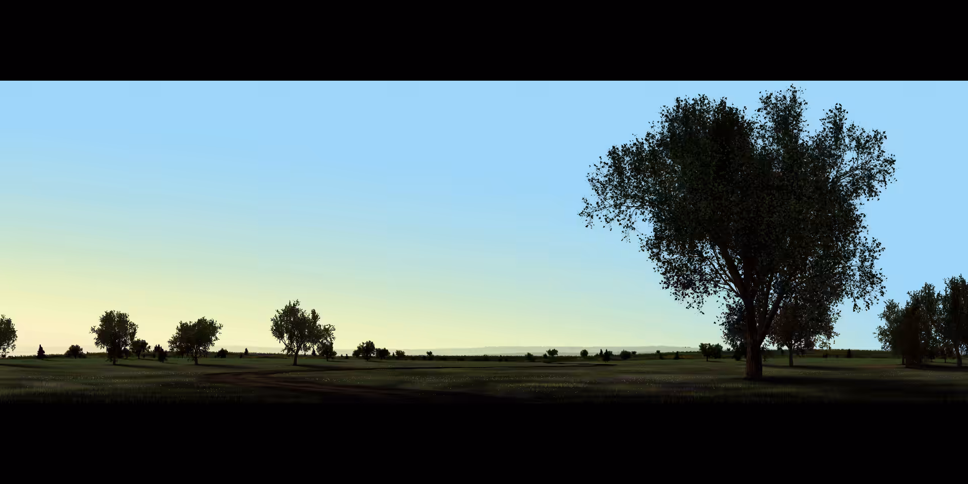 Mornings #31