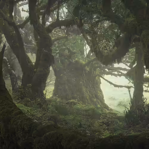 Fangorn