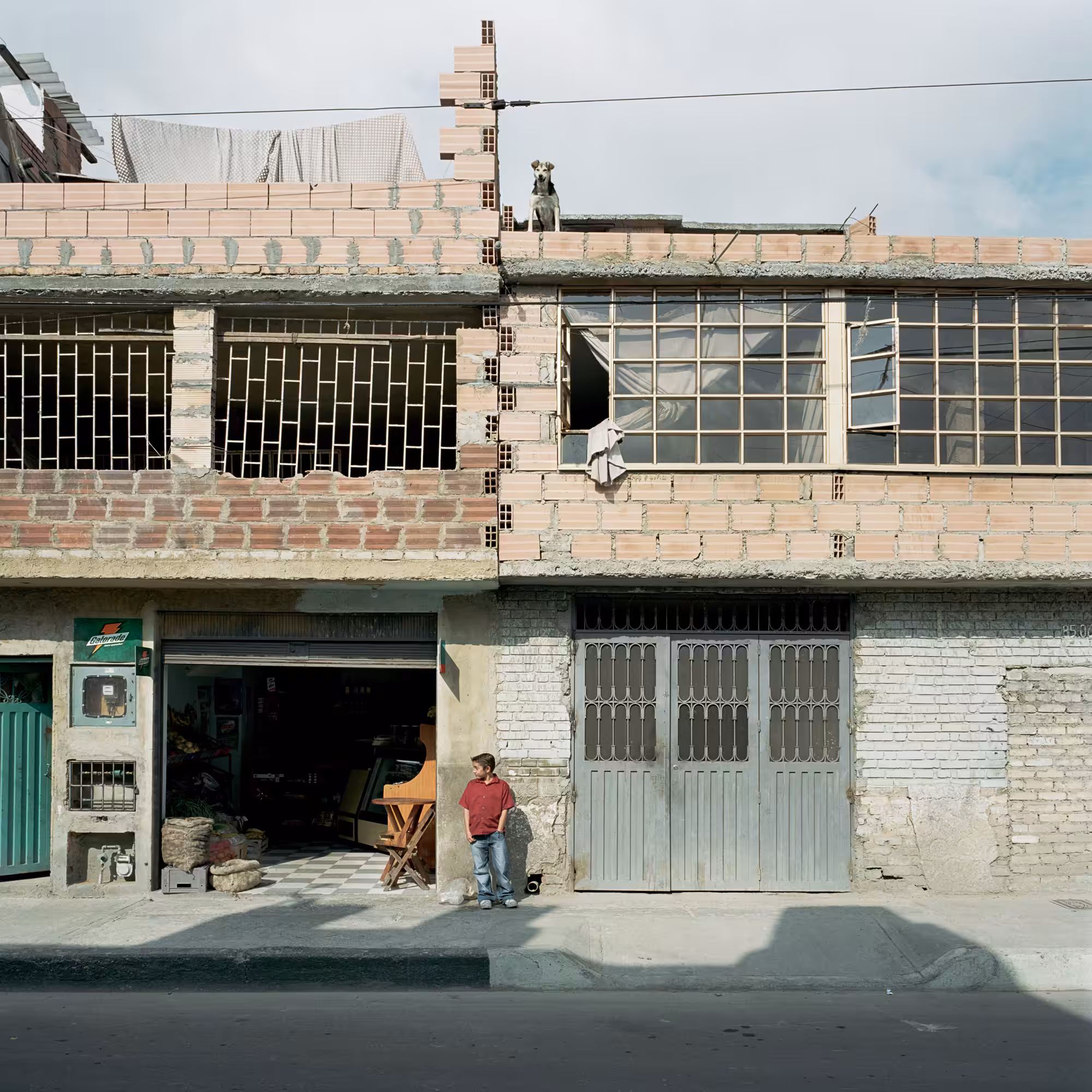 Dog Days, Bogotá #52