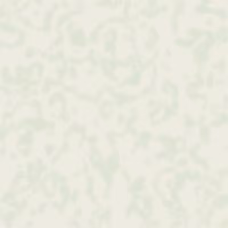 Petri 1500 v2 QHD  #1124