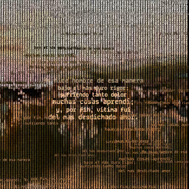 A hacker in the Pampas #166