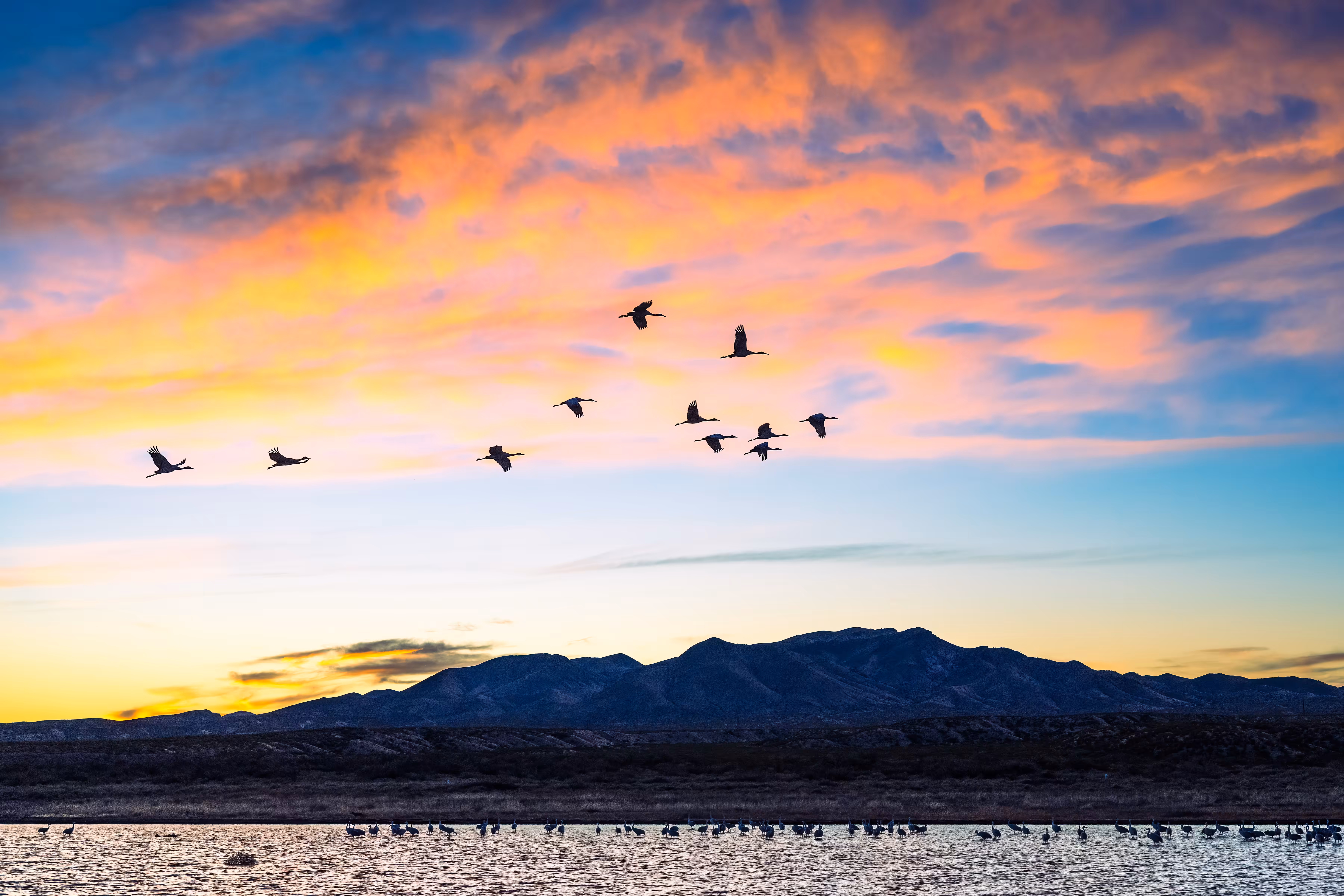 Sunset Flight
