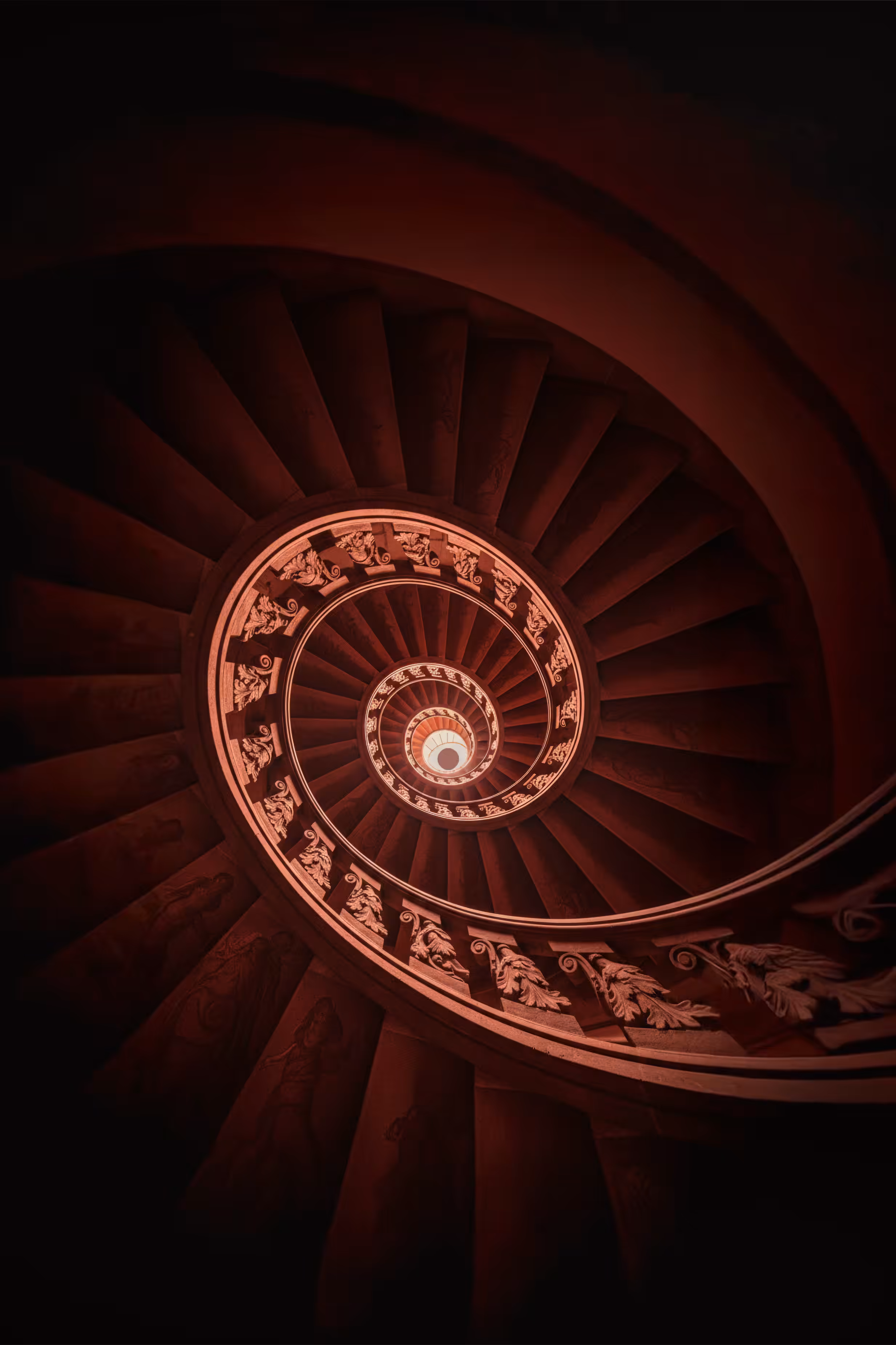 GUL YILDIZ: Red Velvet 