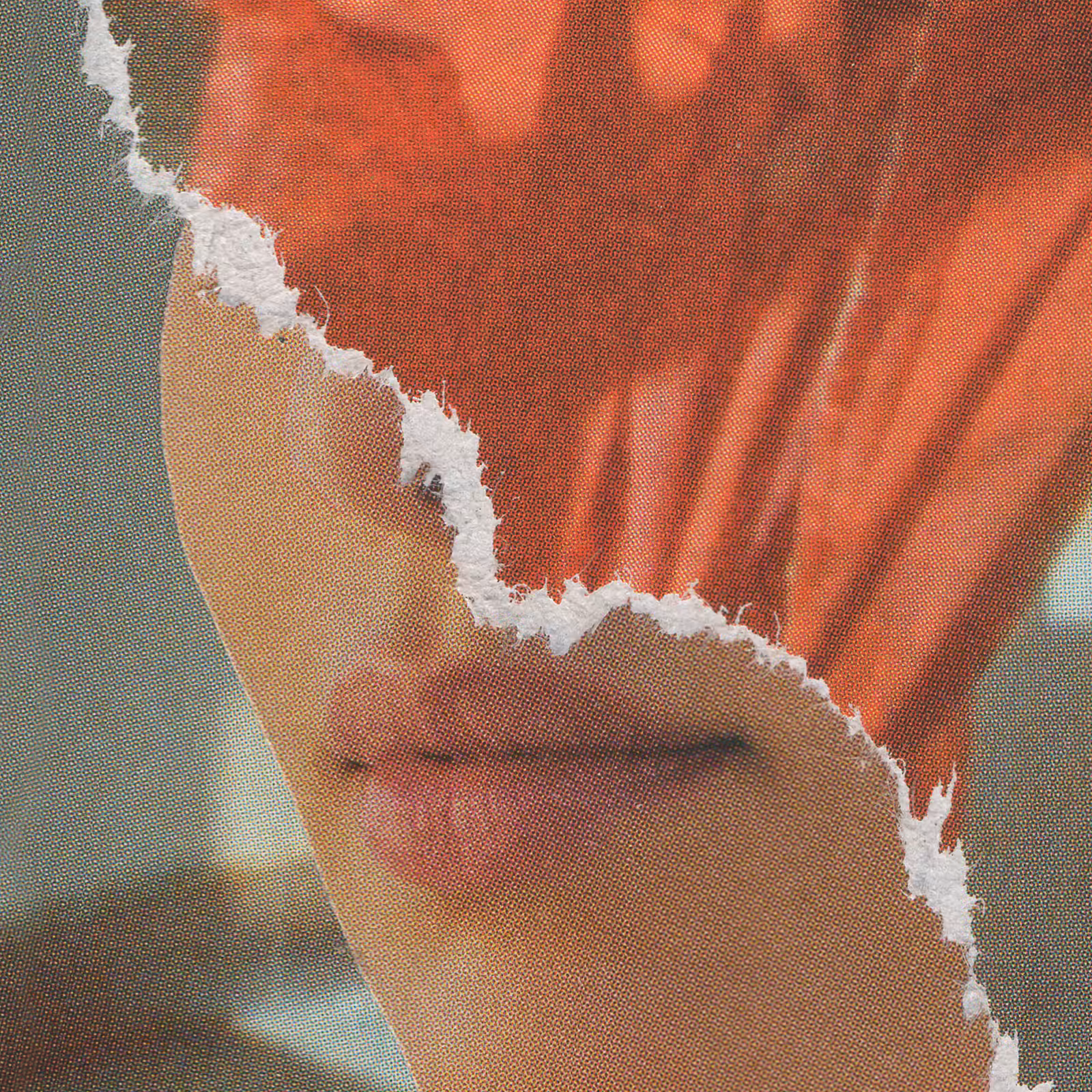 1mouth analog #23