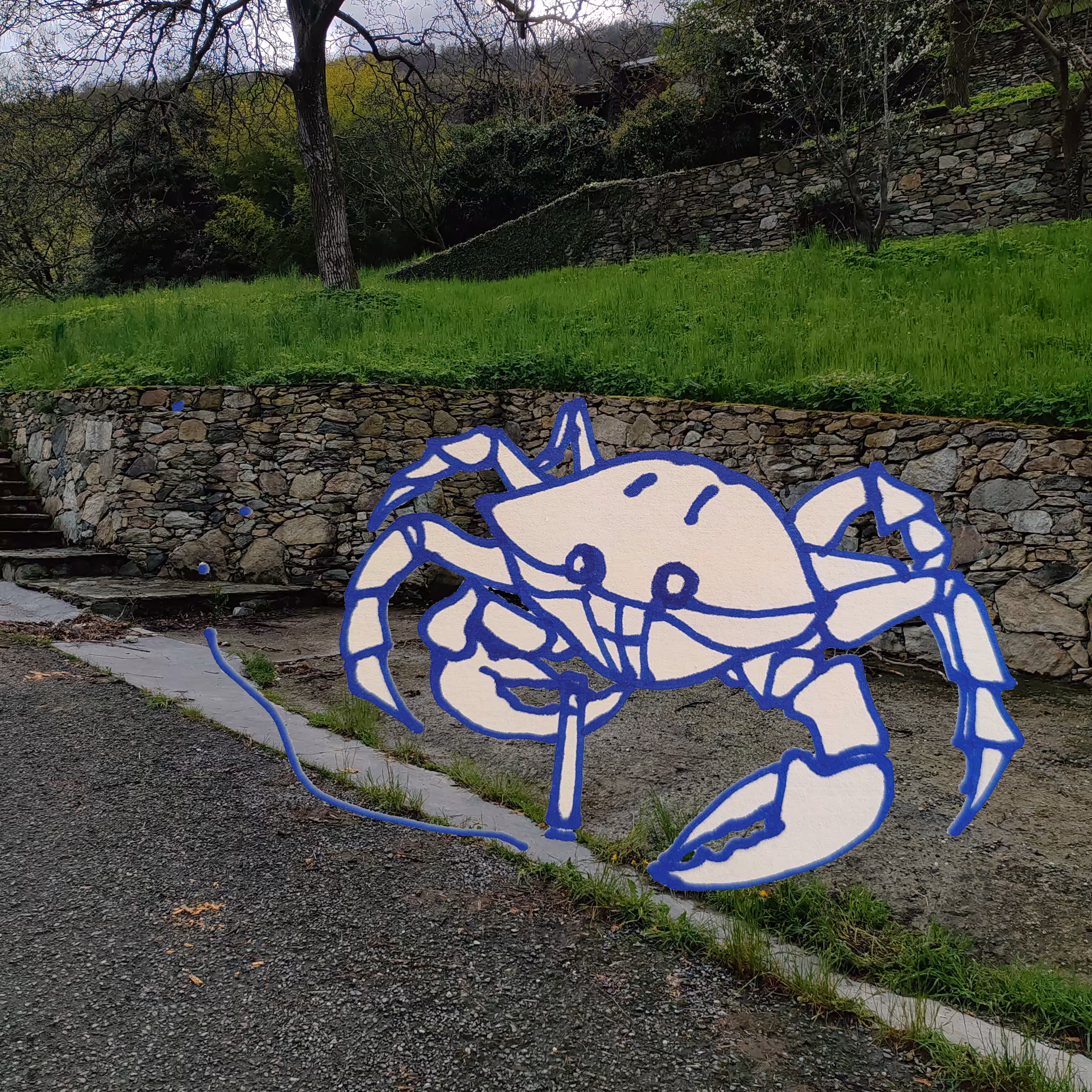 crab2