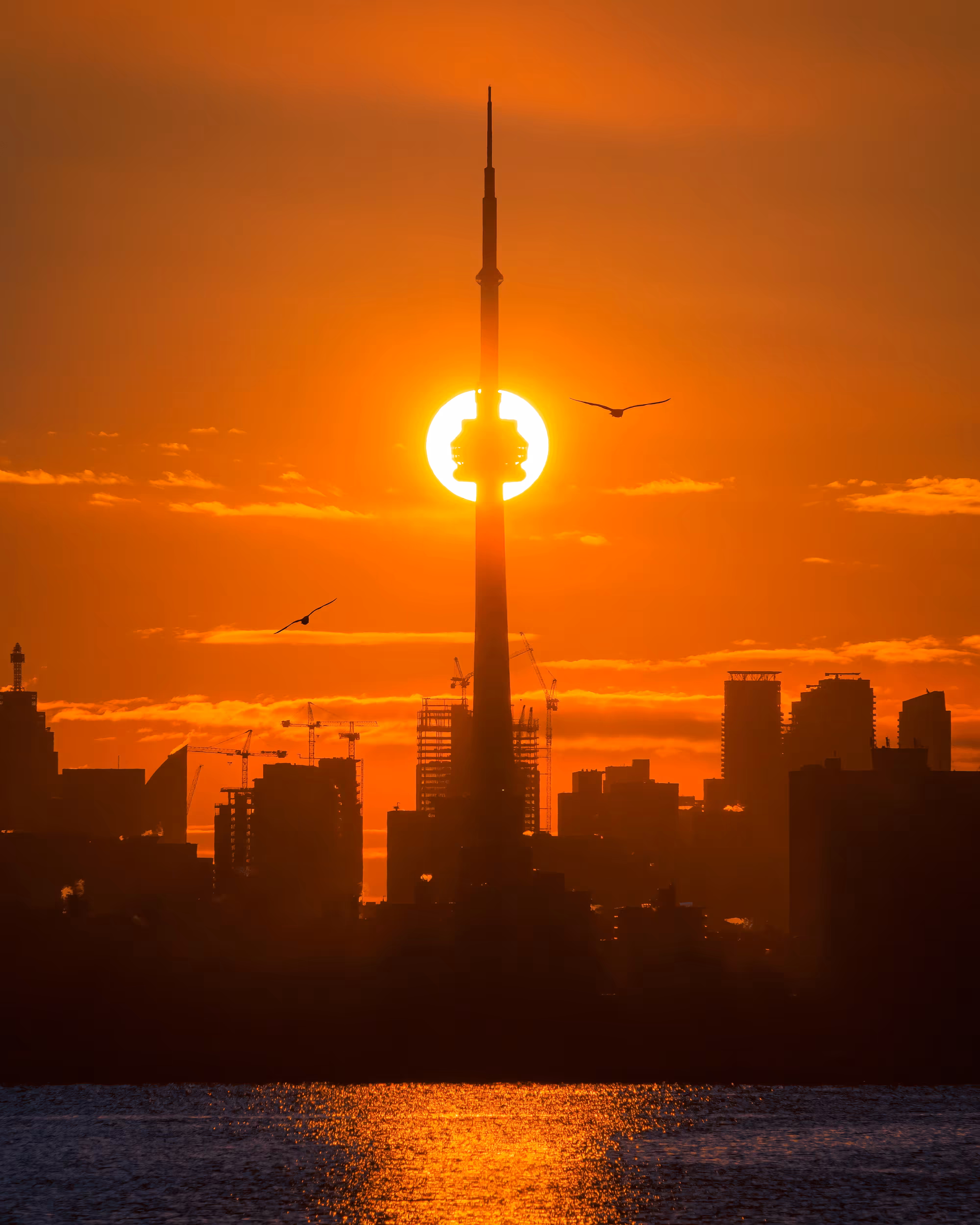 Beyond The Sunrises #1 : Light of Hope