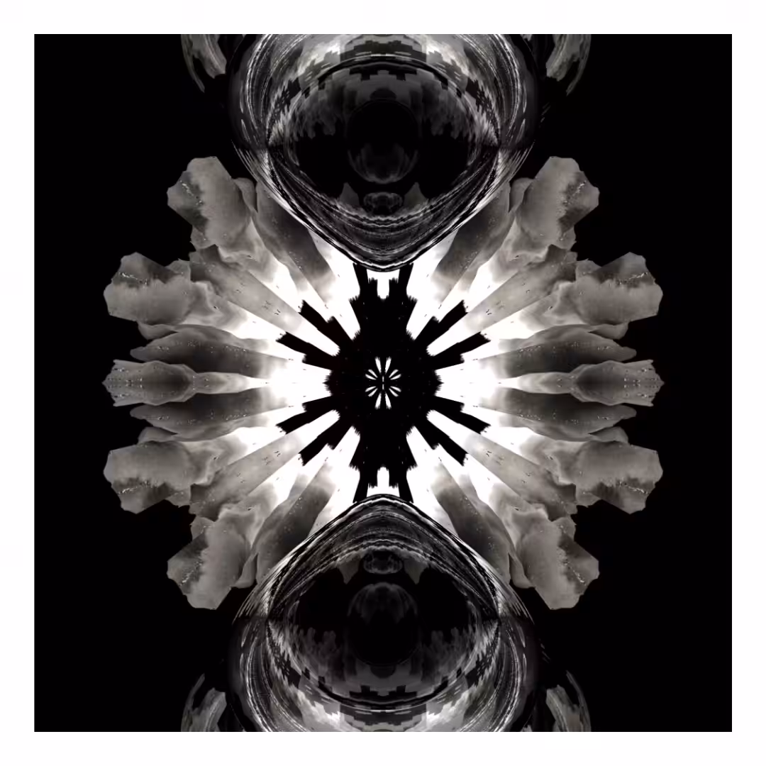 Obsidian Sky "Star in the Dark"