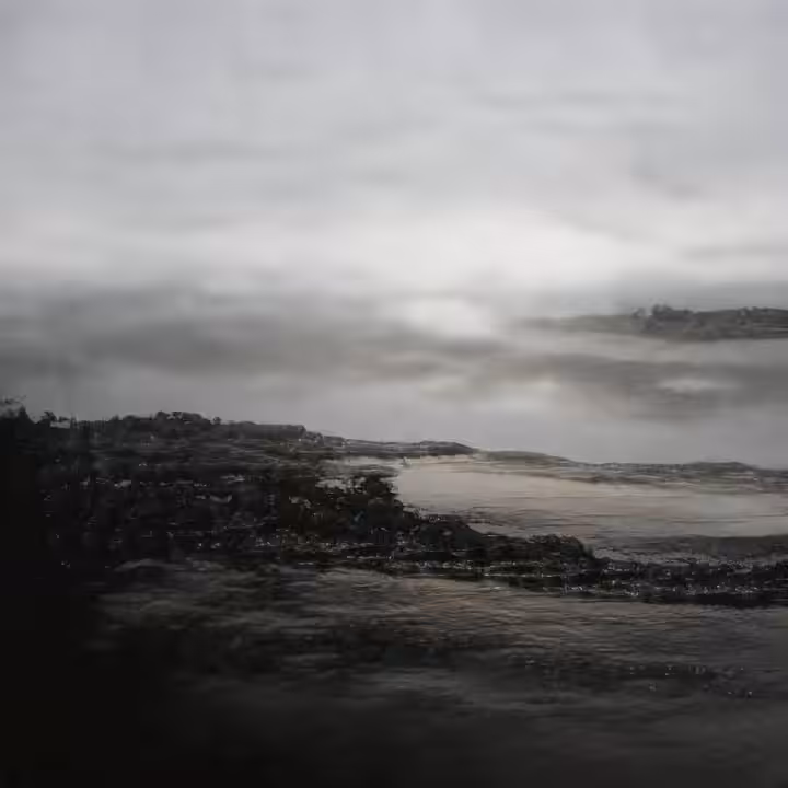 Tree Dreams of The Sea | Vol. I