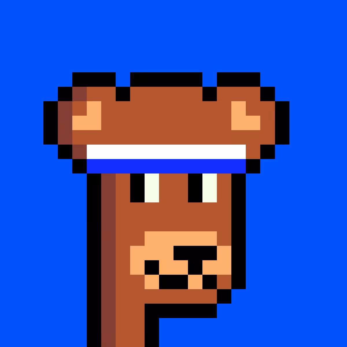 BearPunks #2503