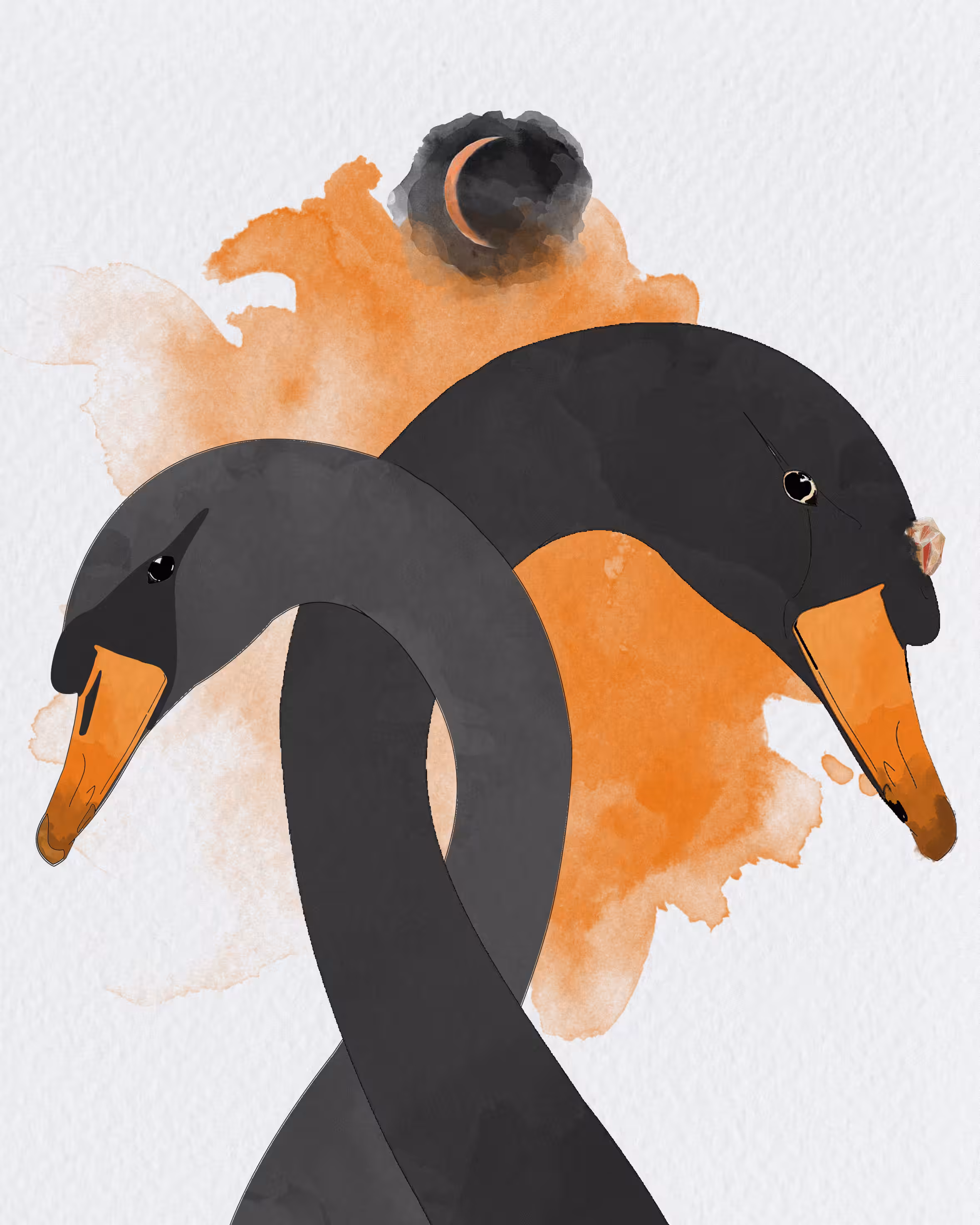 Black Swans