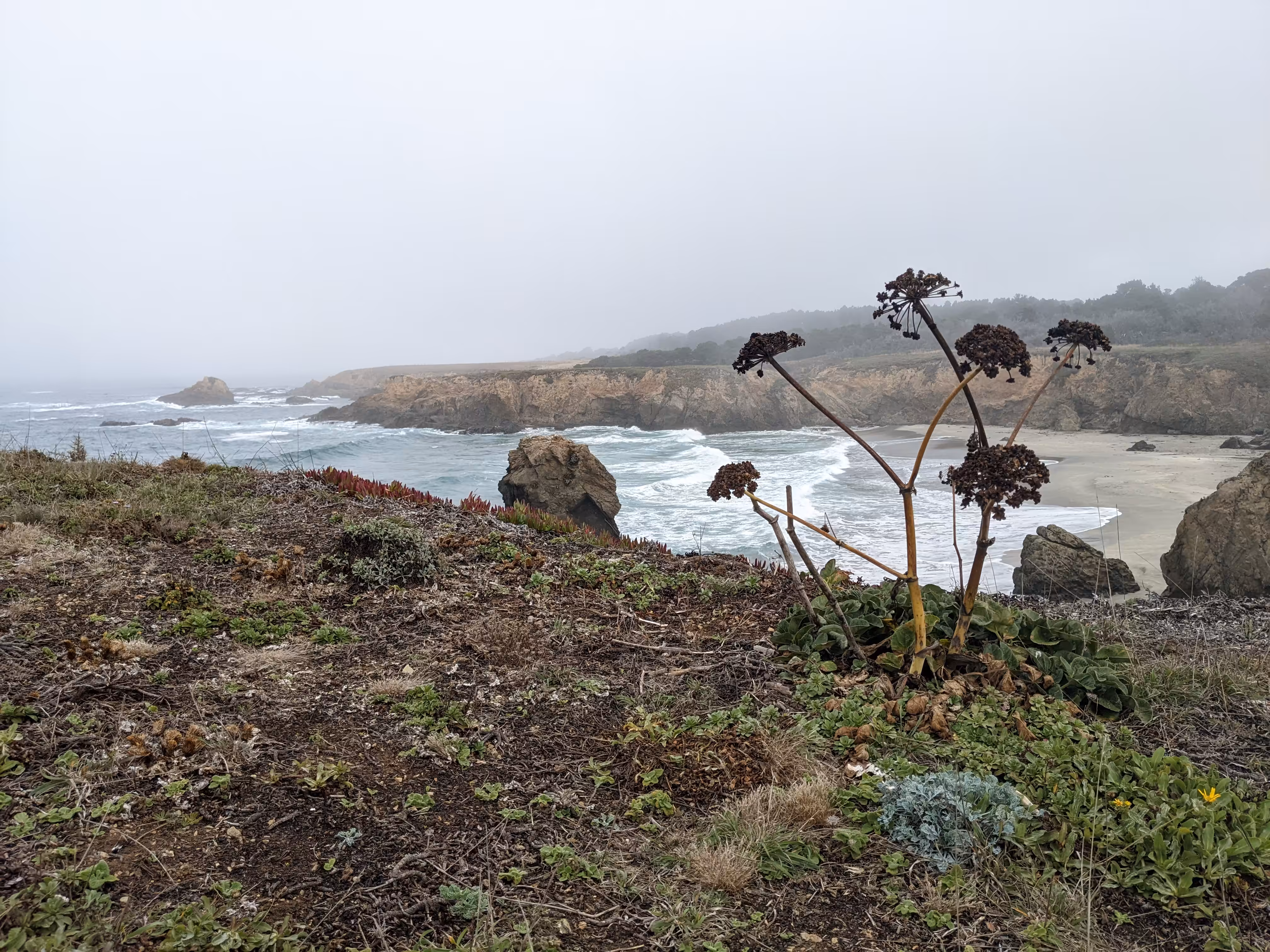 VERSA on the shore: 3. NATURE