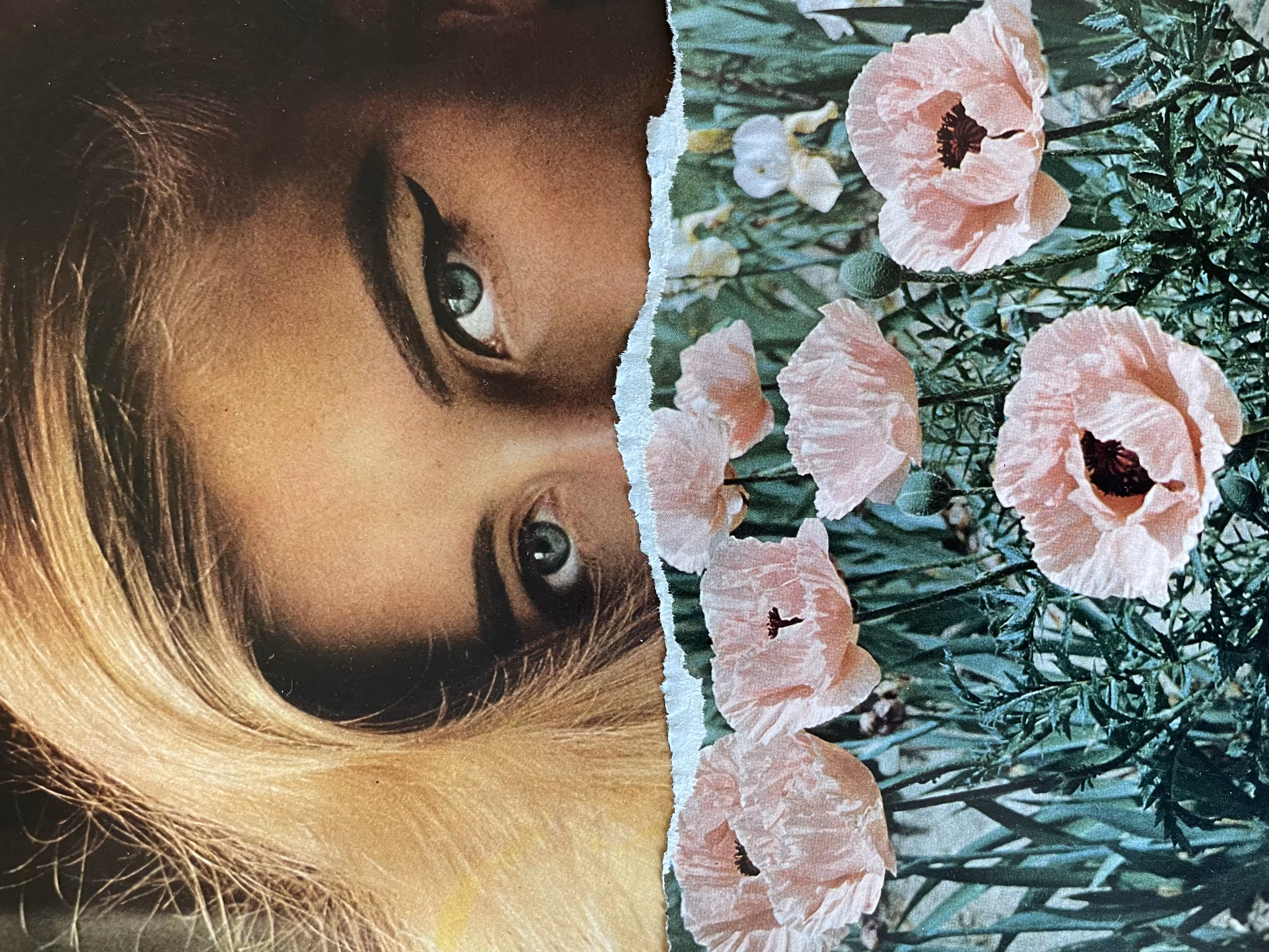 Sos Una Flor