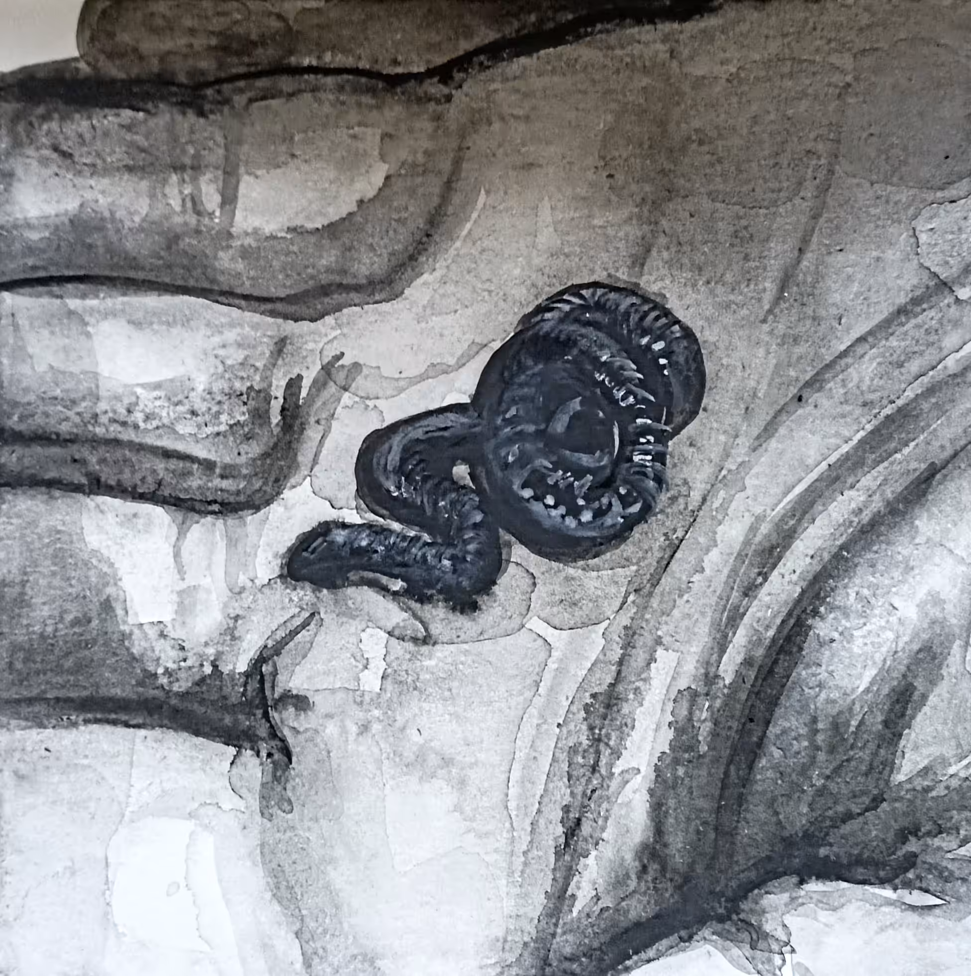 Very Tiny Snake