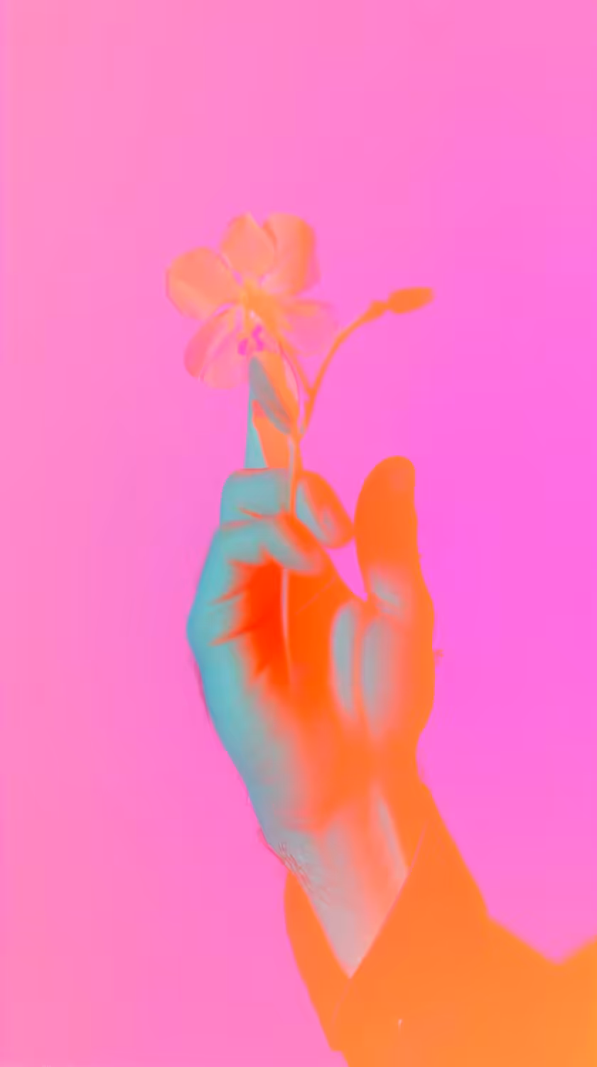 Hand, Flower, Hammer