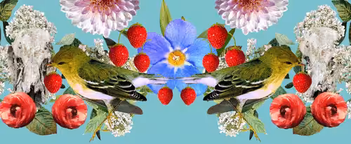 The Strawberry Thieves Banner 11
