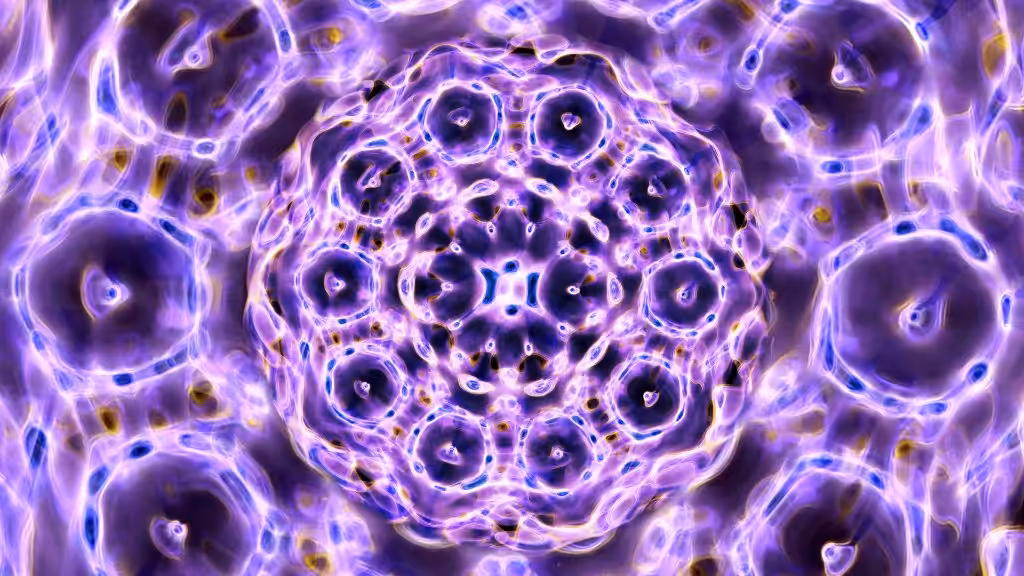 Eye of the EVOAR
