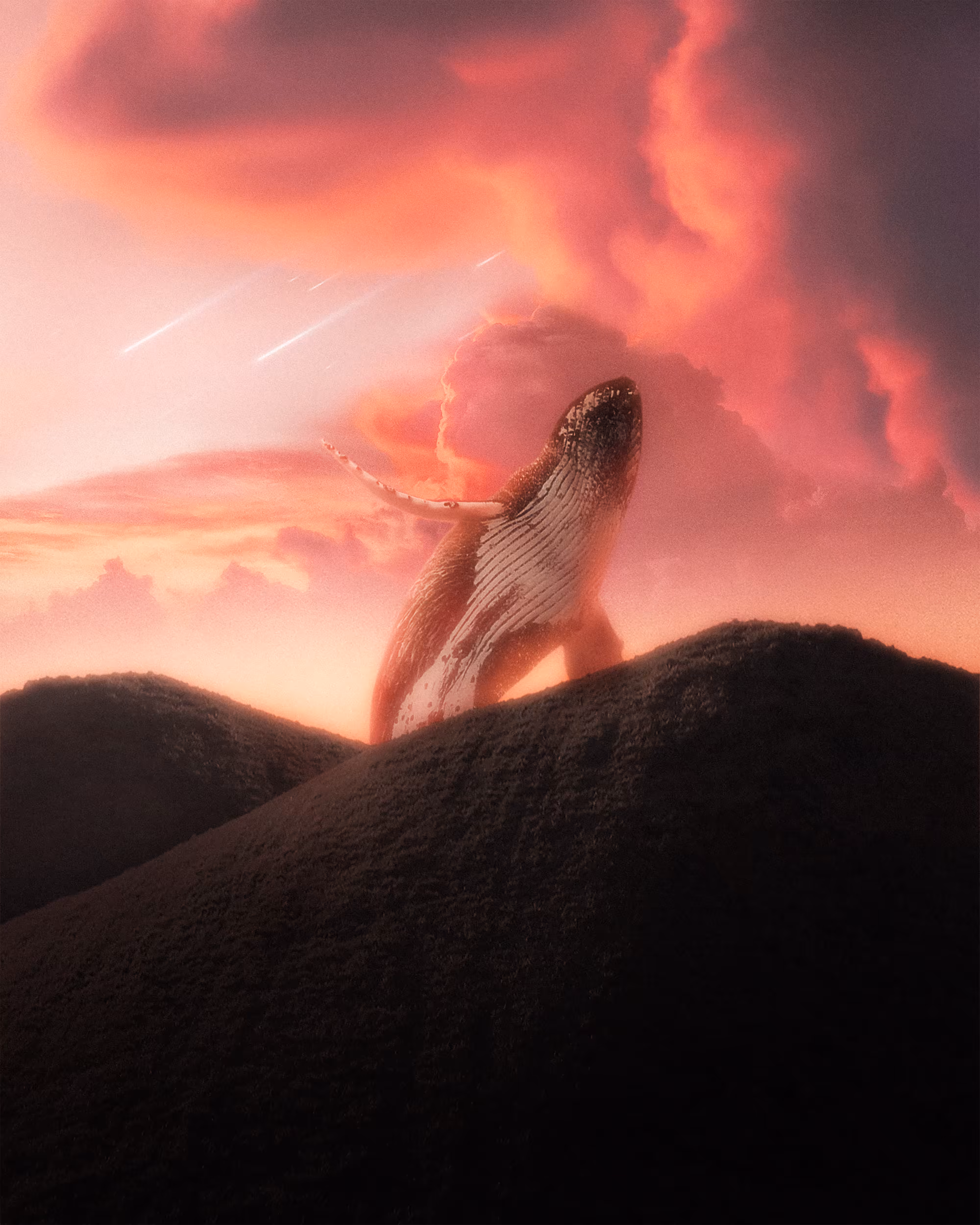 A Place That Never Existed