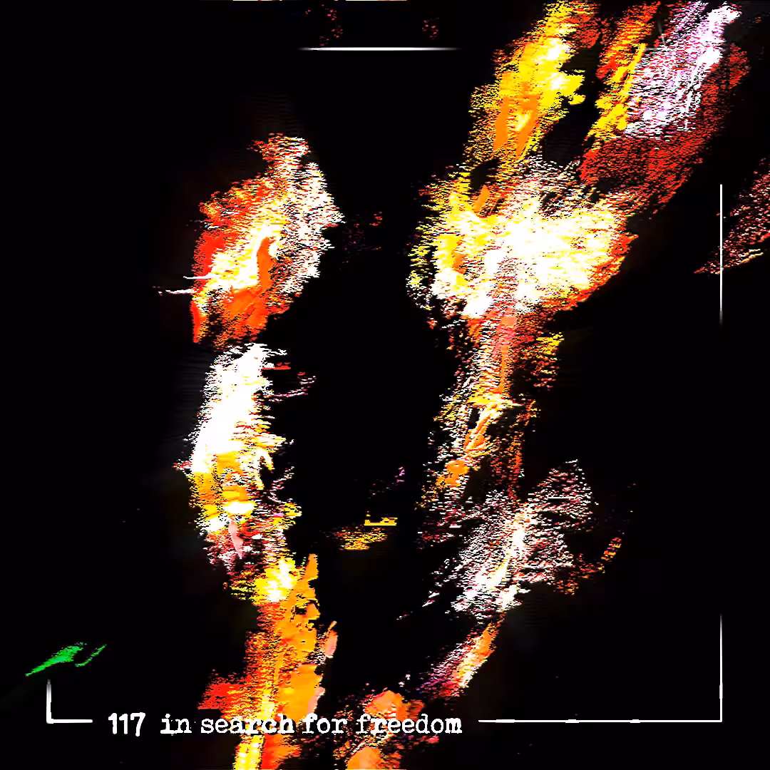 117 in search of freedom