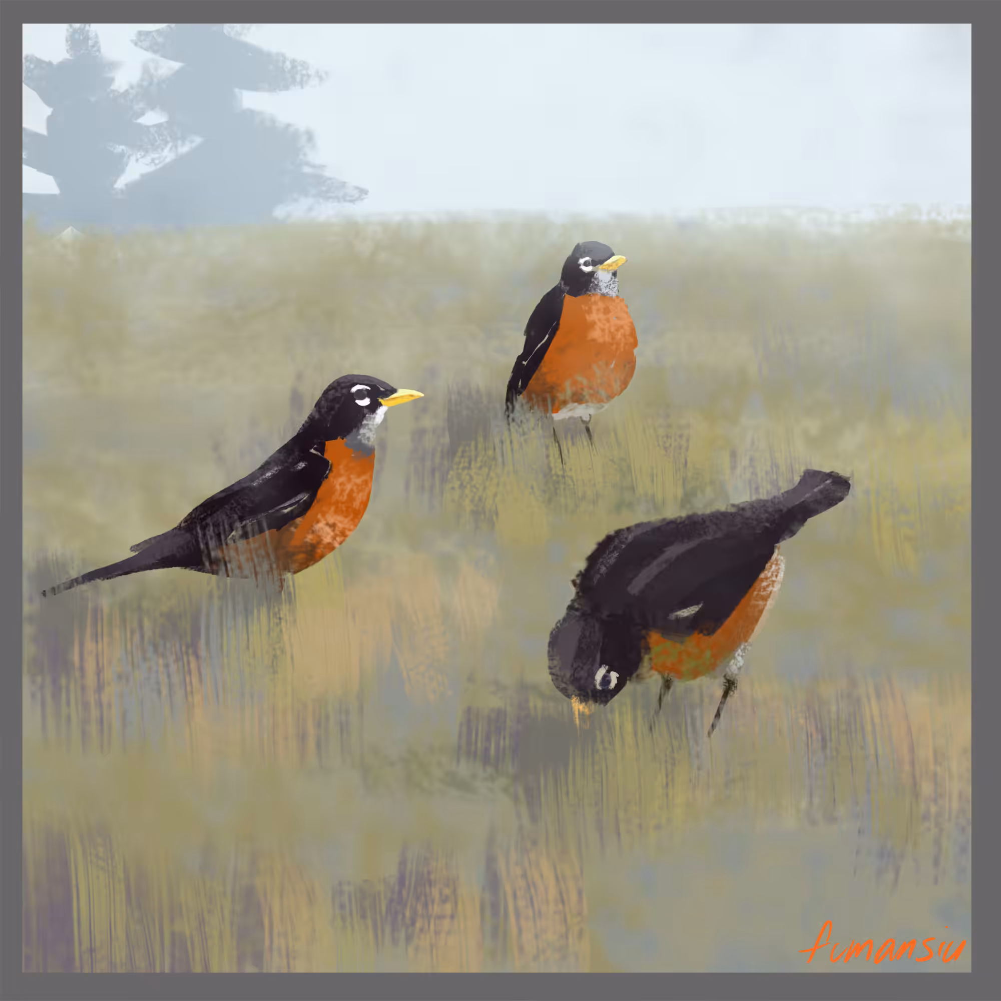 Robins