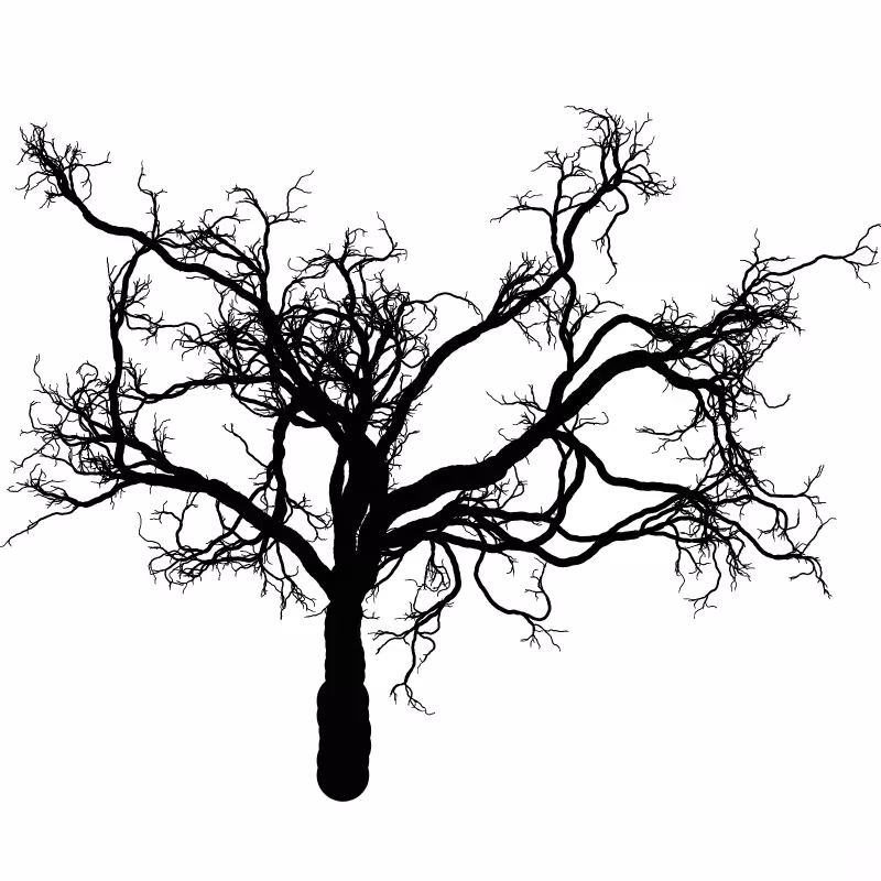 Tree 01 #22