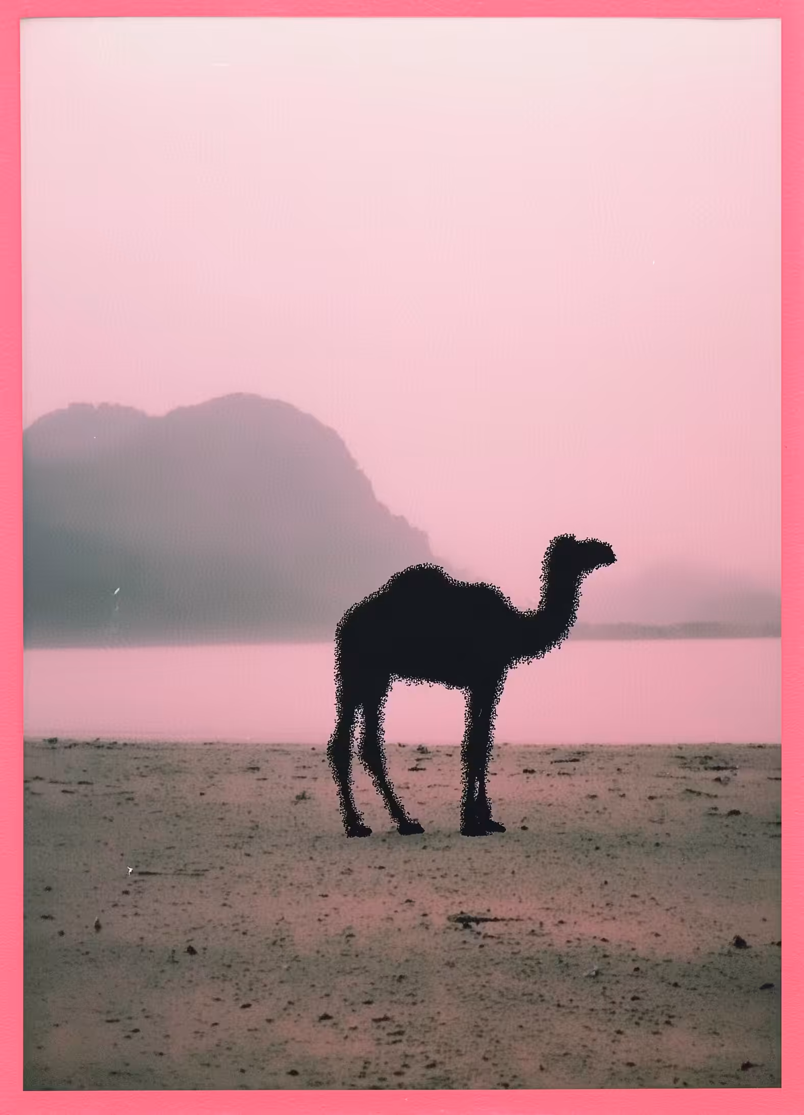 Pink Mirage