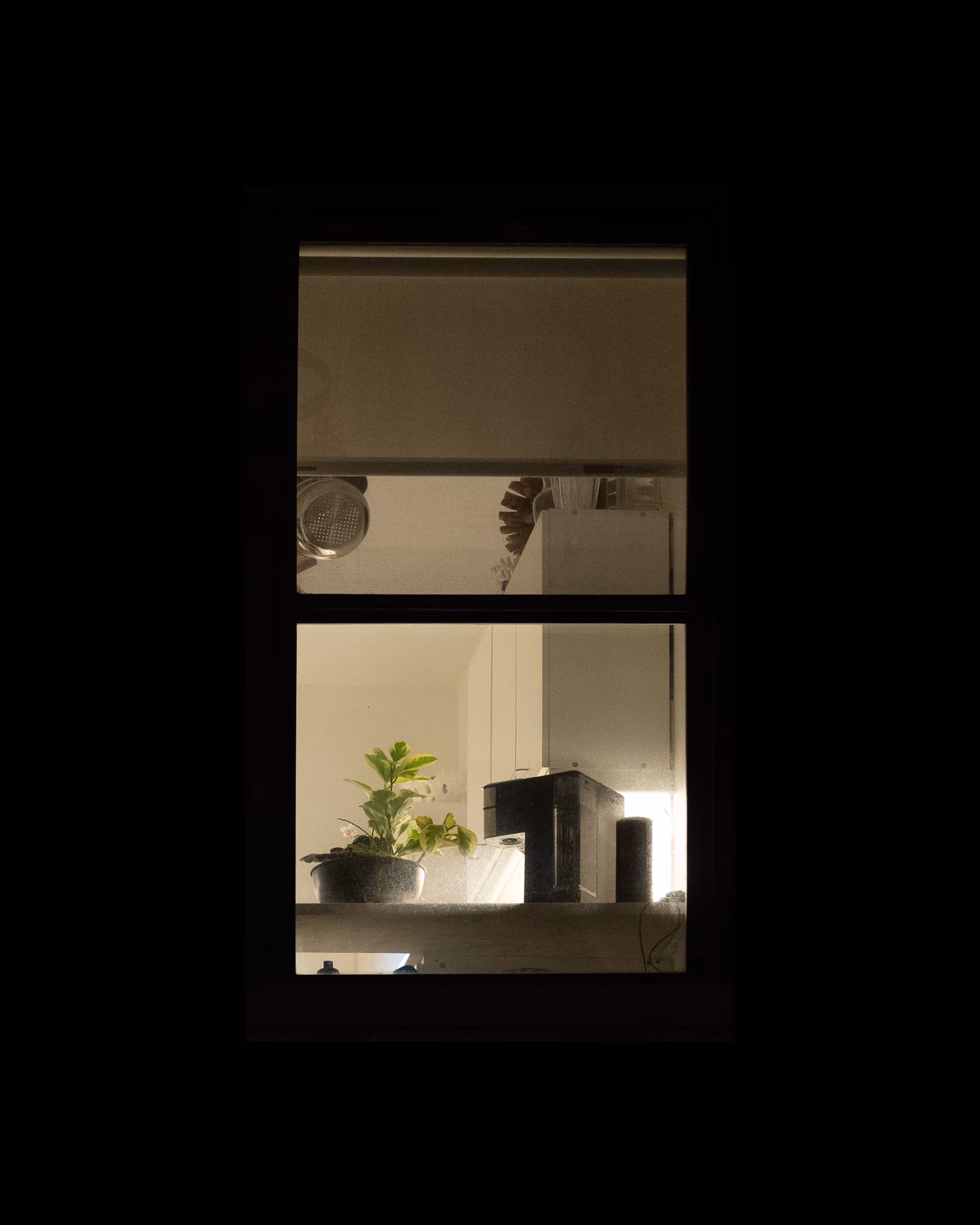 WINDOW 899