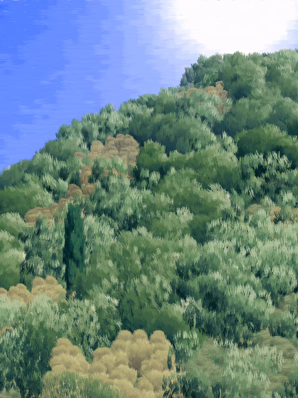 Provence #82