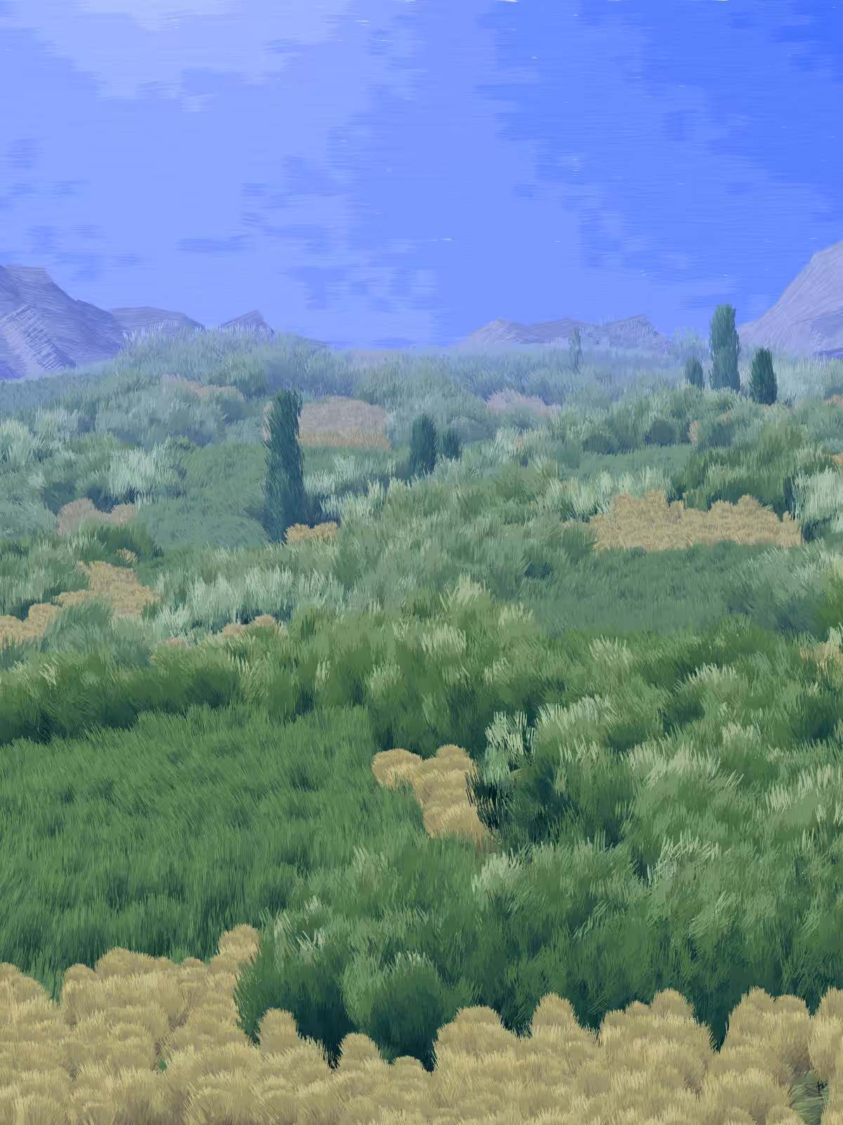 Provence #455