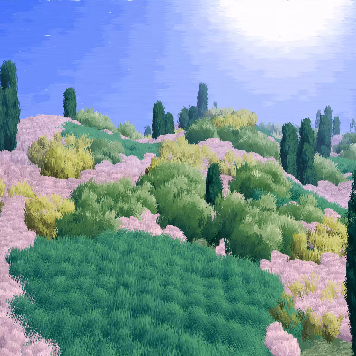 Provence #482