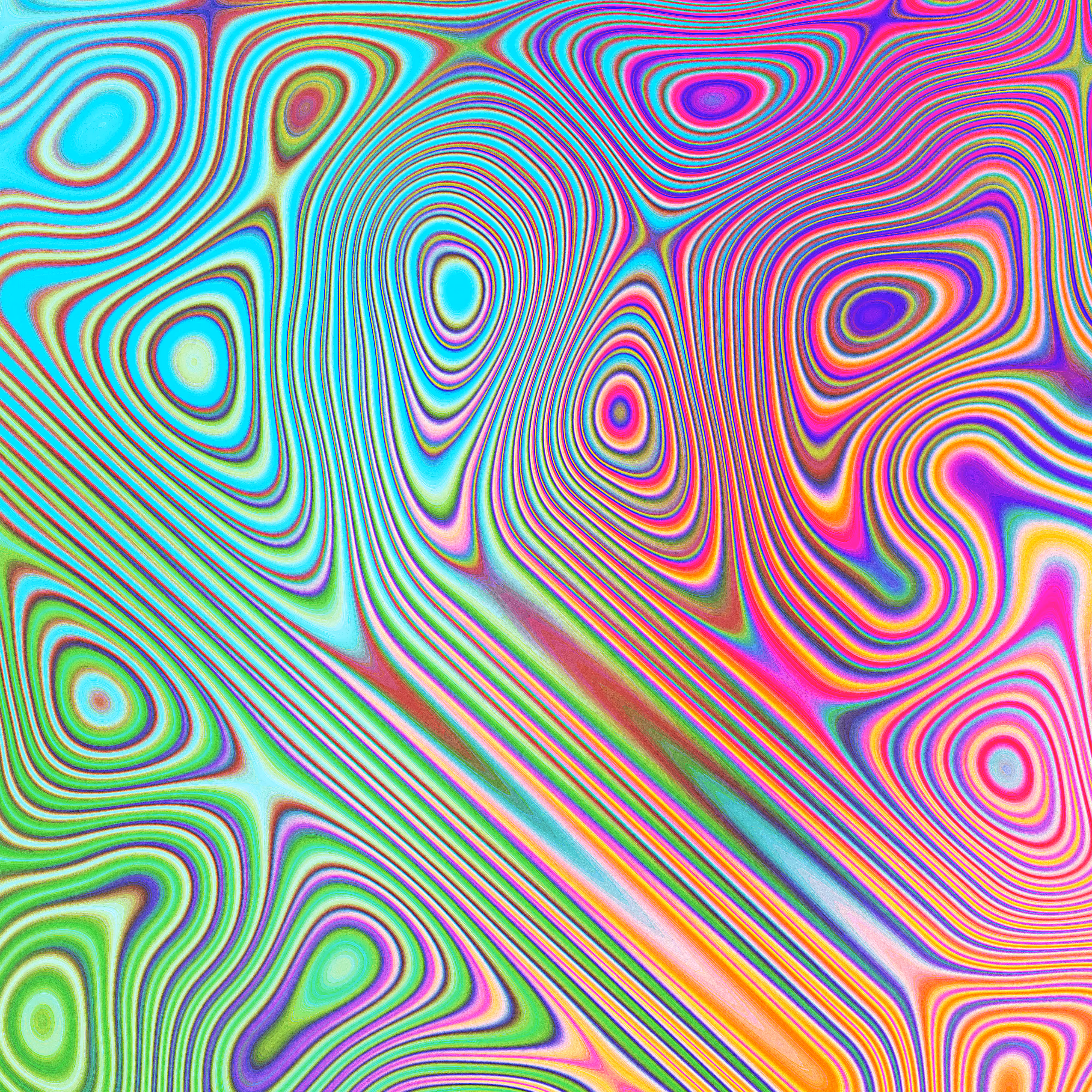           161