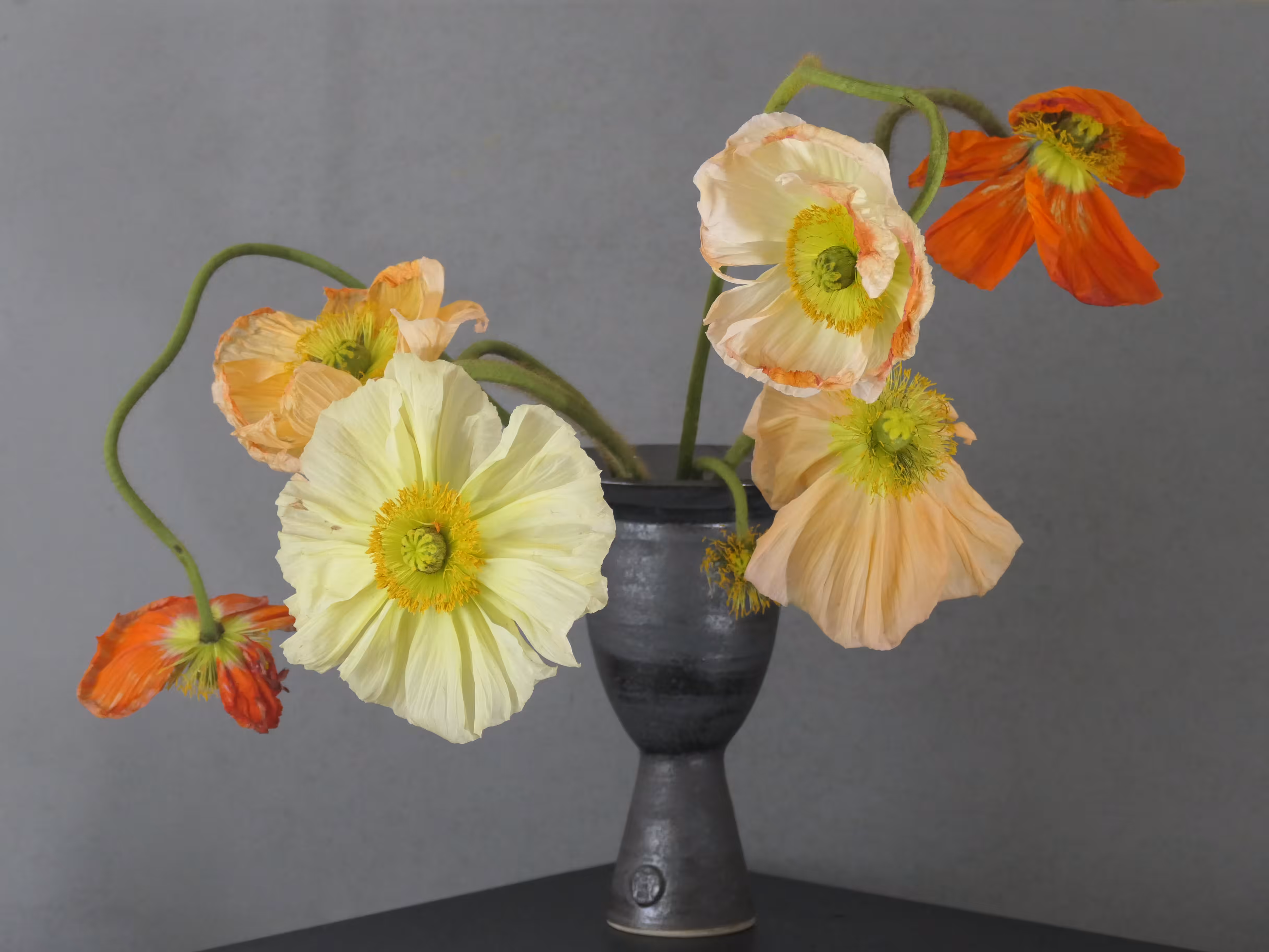 Still Life (Special edition)