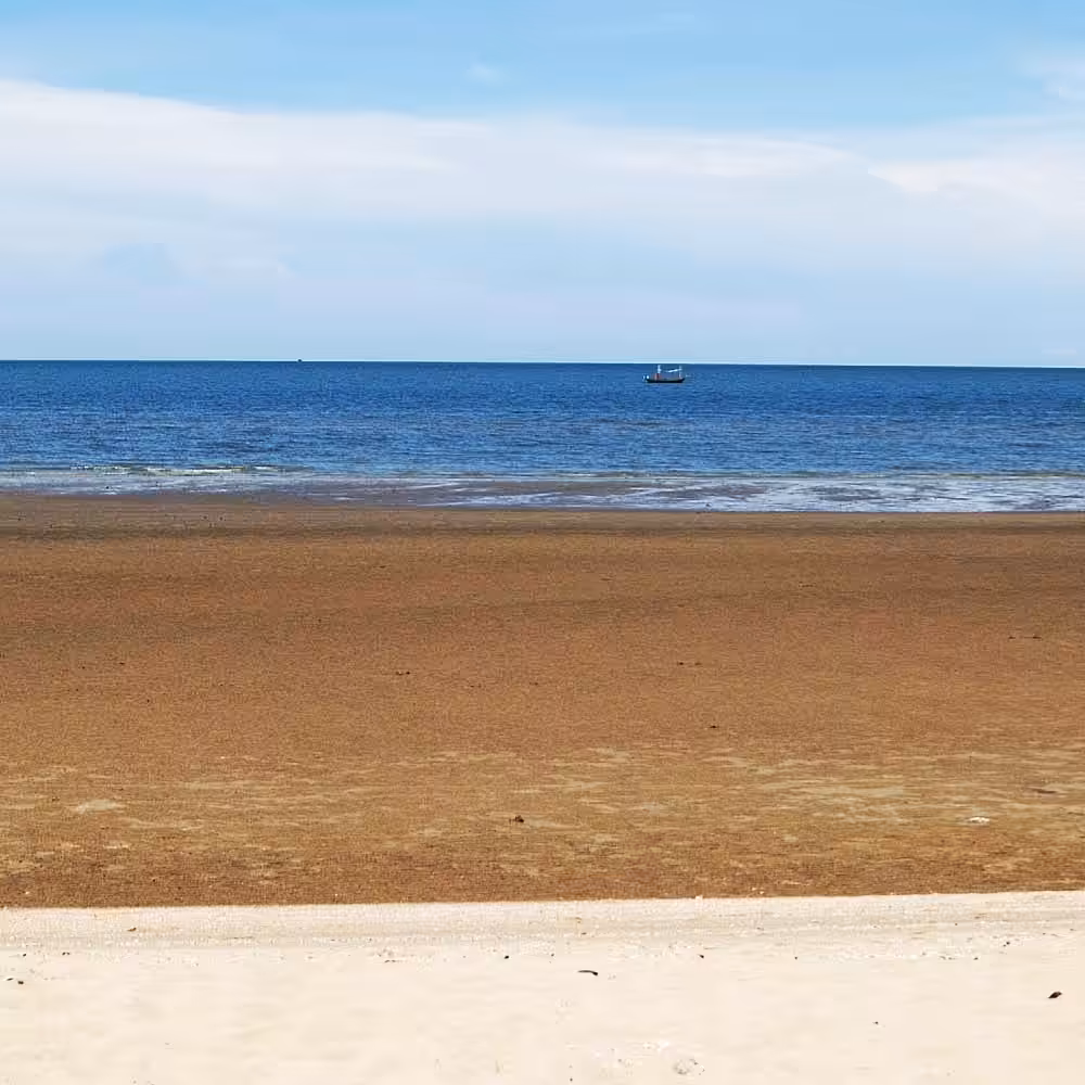 The Layers of The Beach
