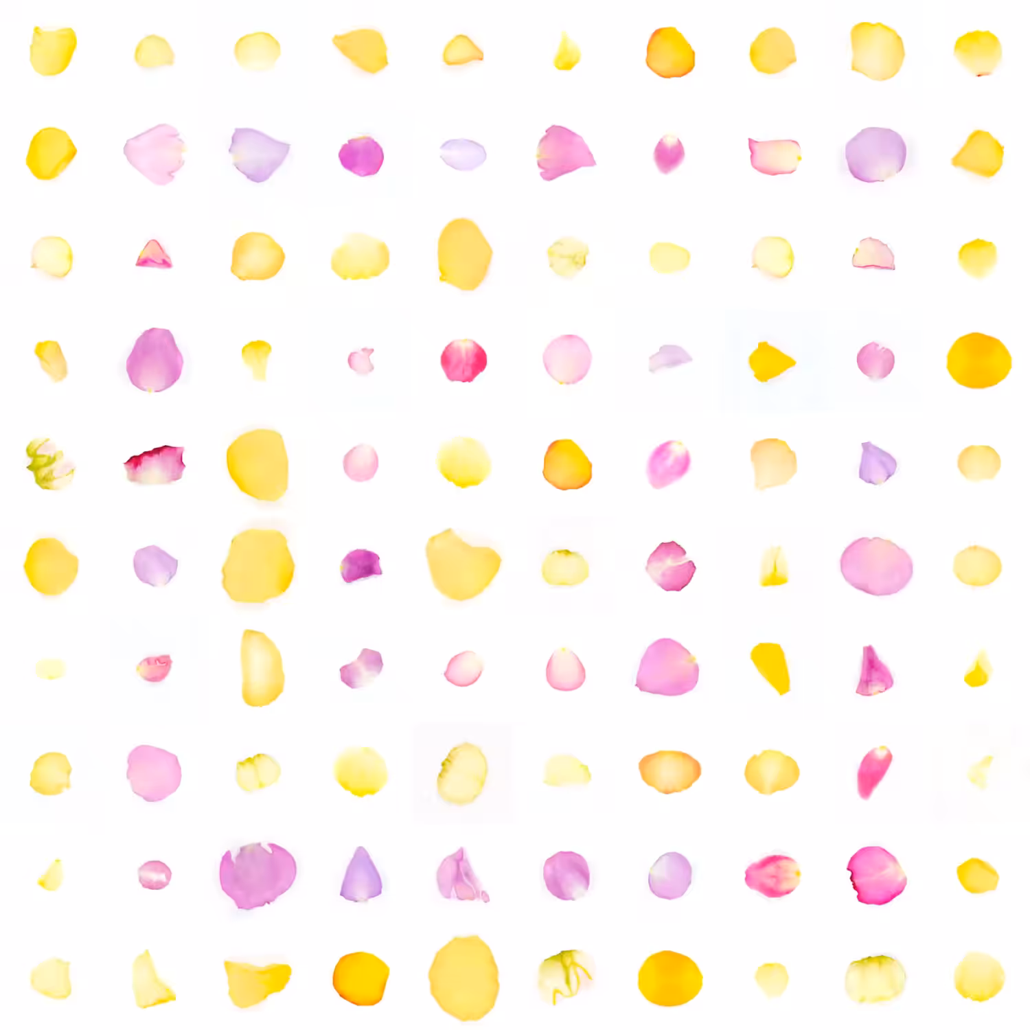Infinite Petals 10x10#536537