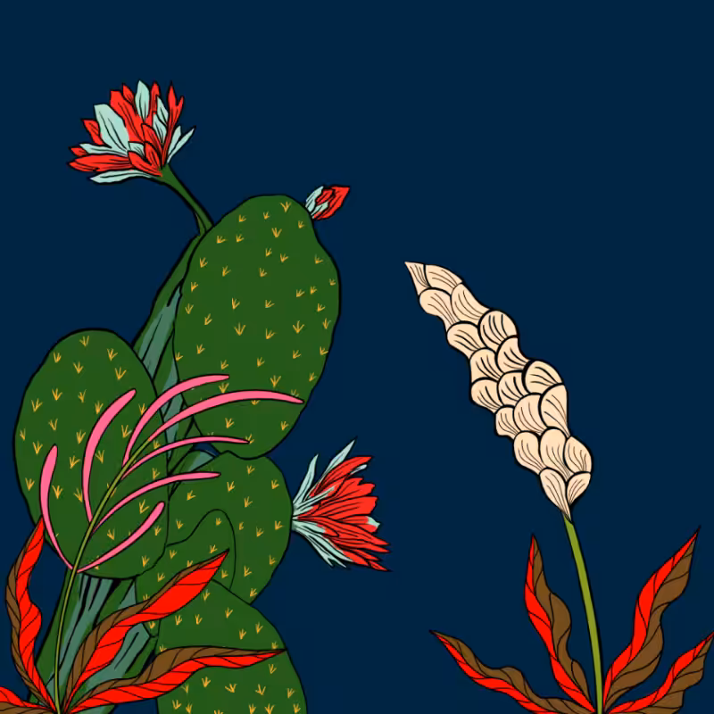 Desert Exuberance #29