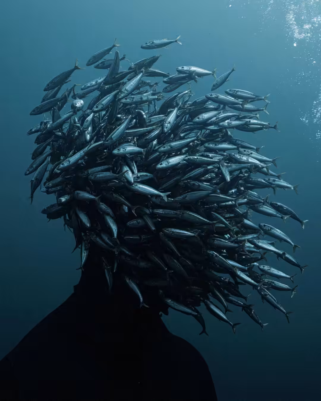 Shoal