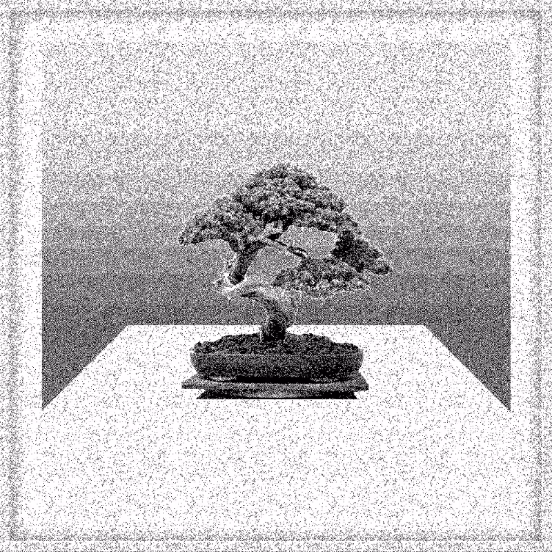 Bonsai Bonanza #299