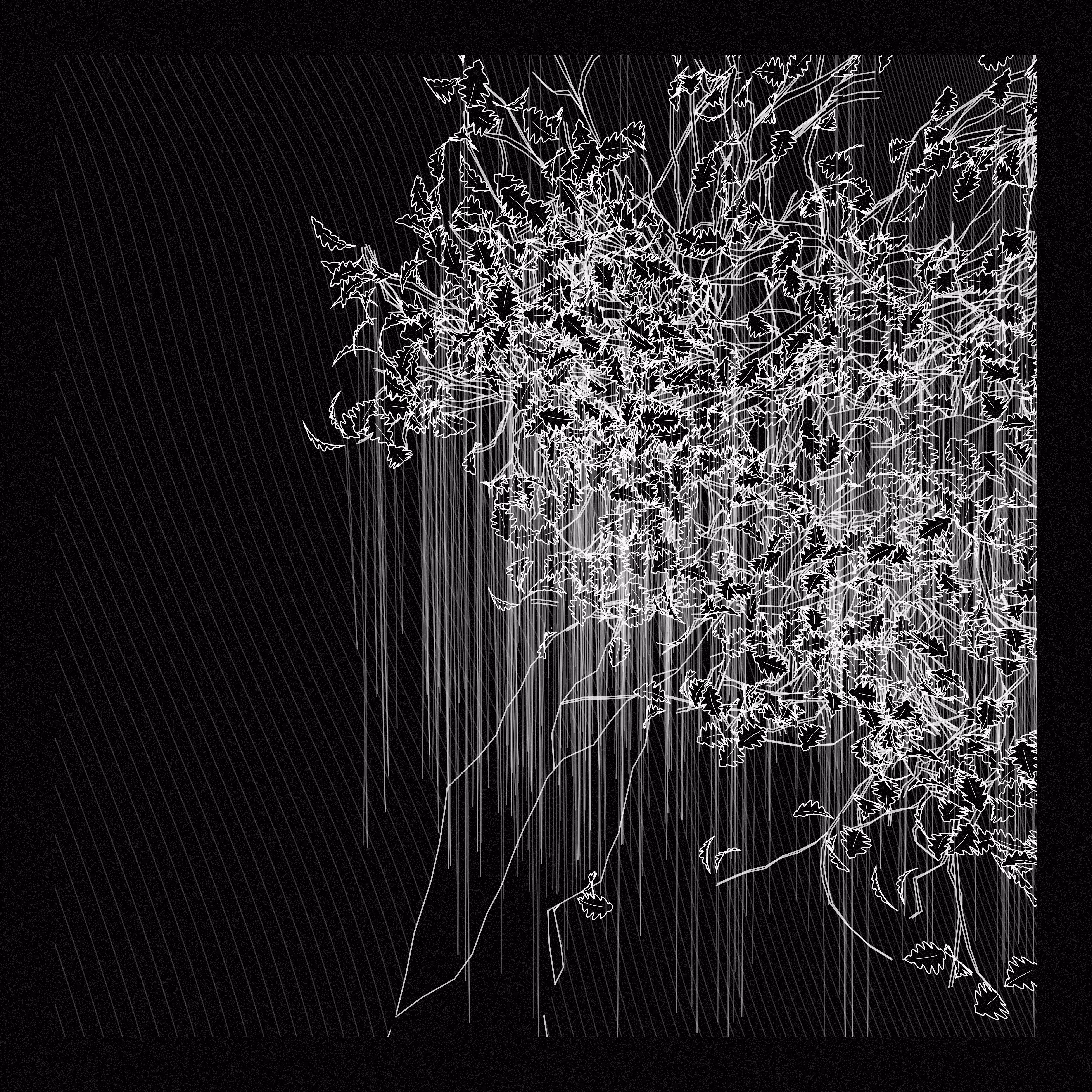 A Bugged Forest #815