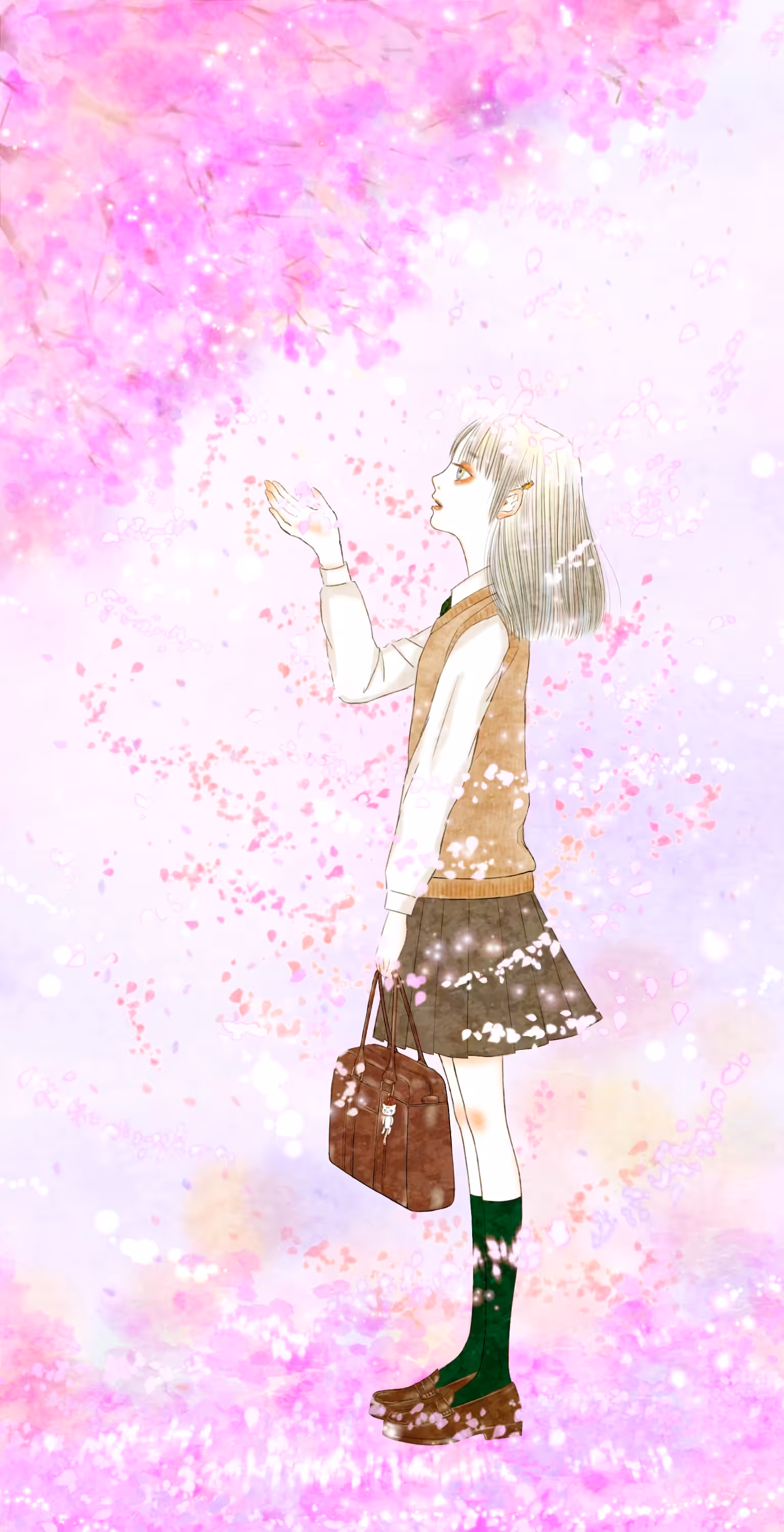 Cherry Blossom Dream