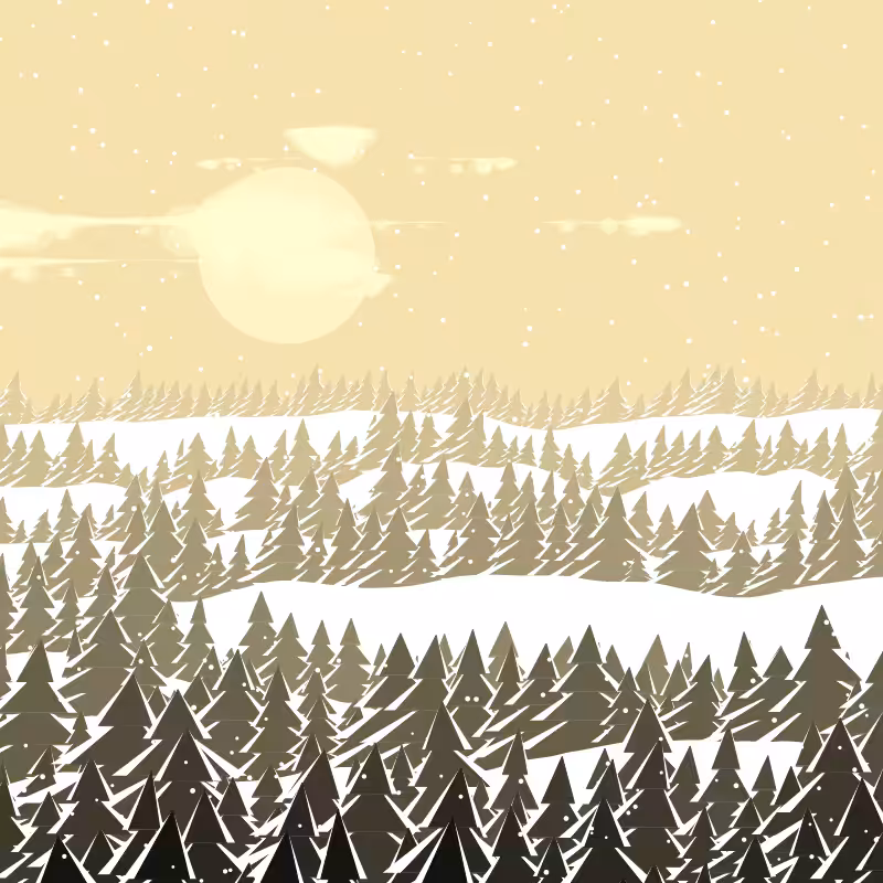 Winterland #5