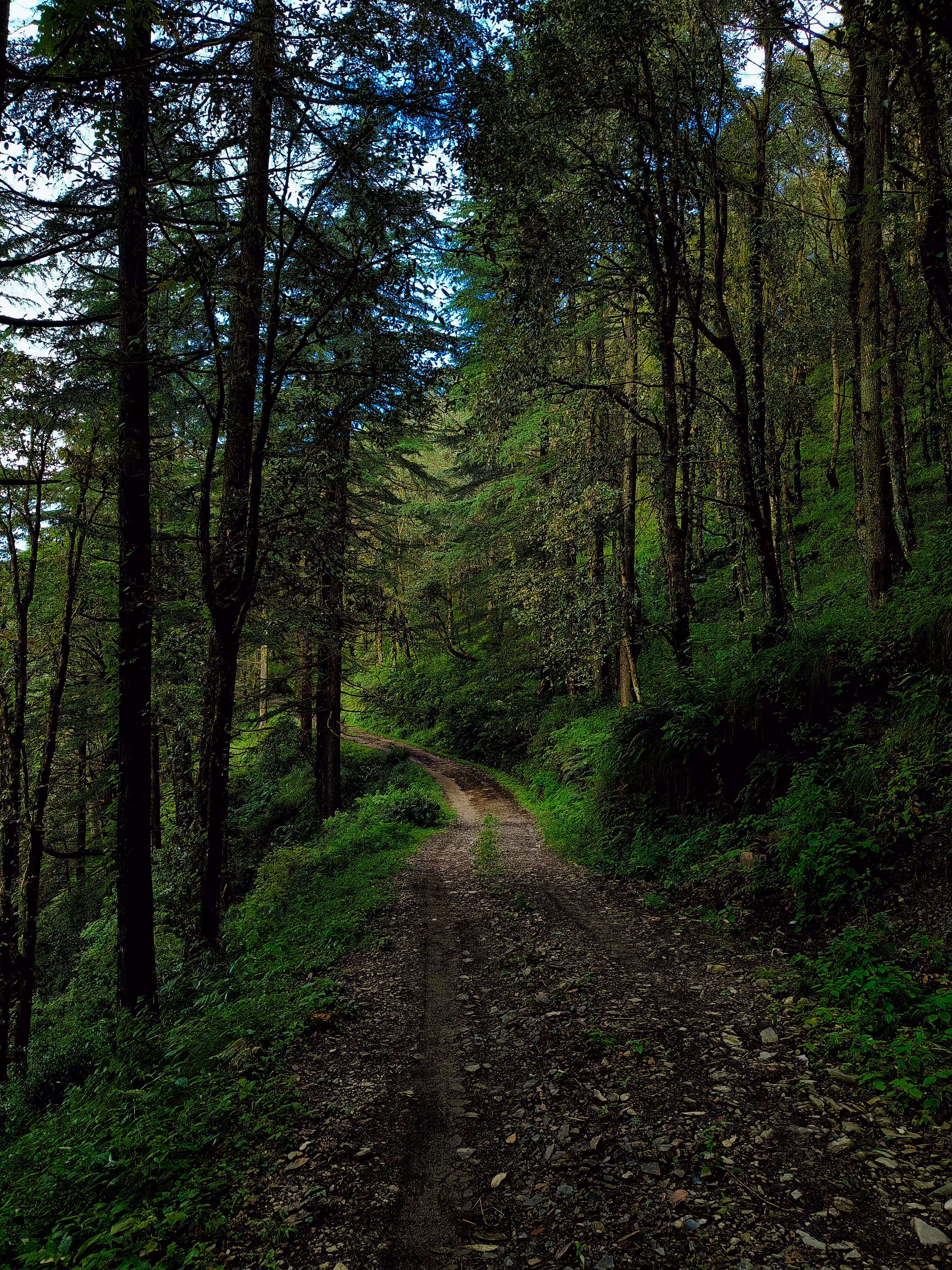 Into the Nature