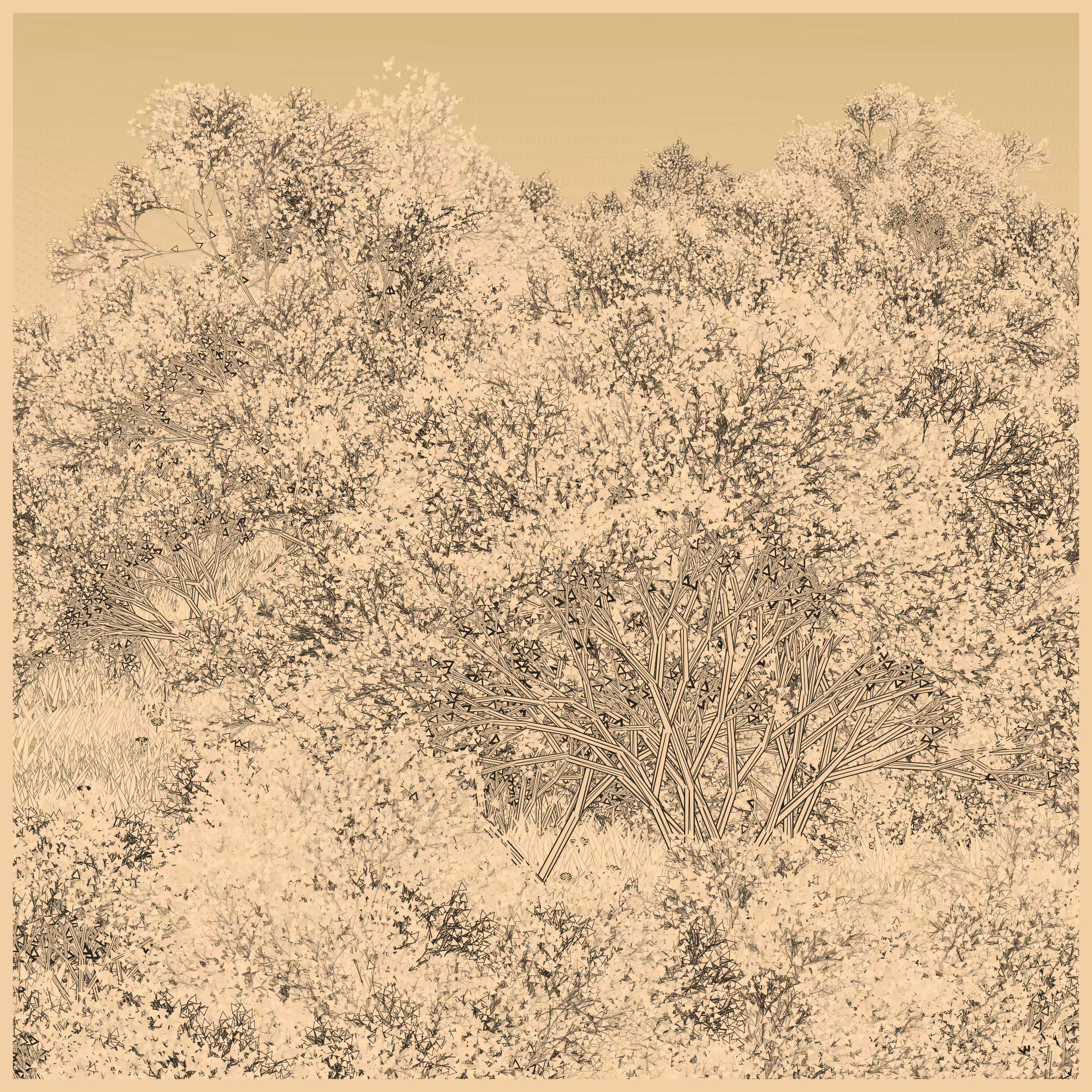 Natural order.chaos #194