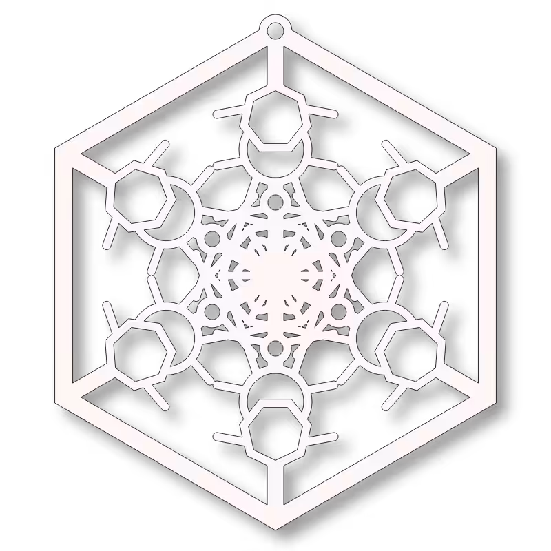 fx(ornament) 2022 #1089